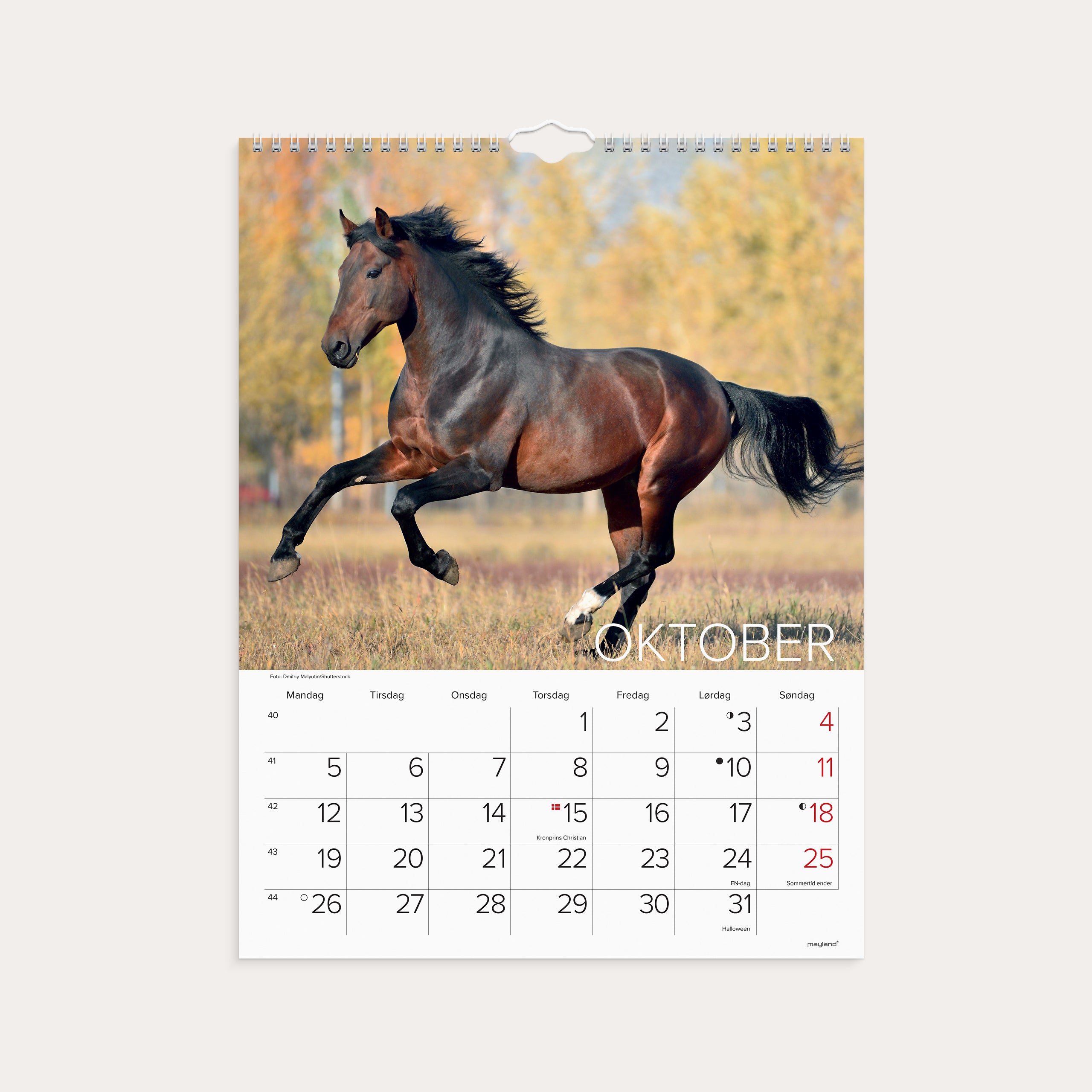 Vægkalender Heste 2026