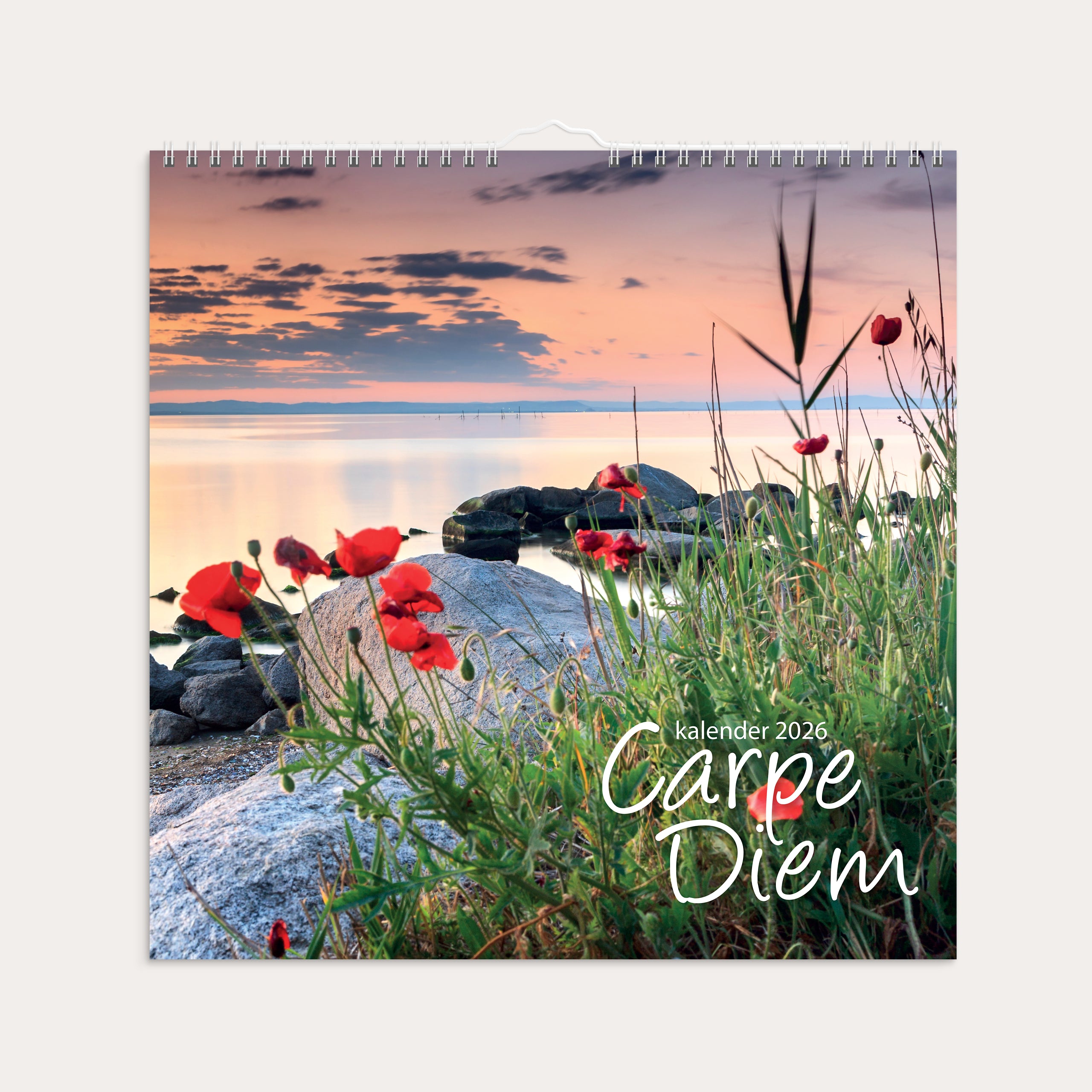 Väggkalender 2026 Carpe Diem
