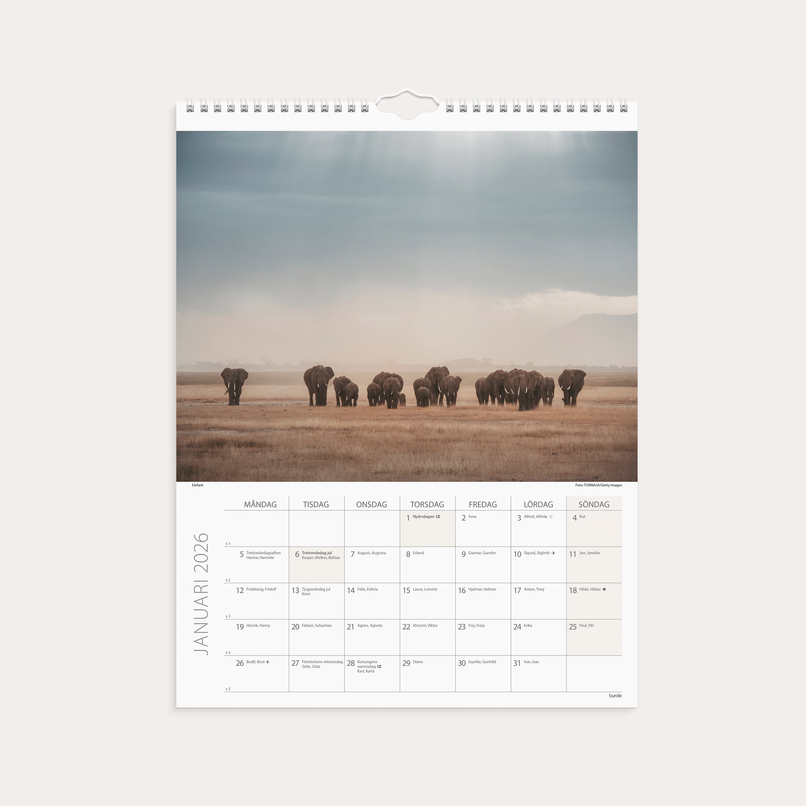 Väggkalender 2026 Savannen