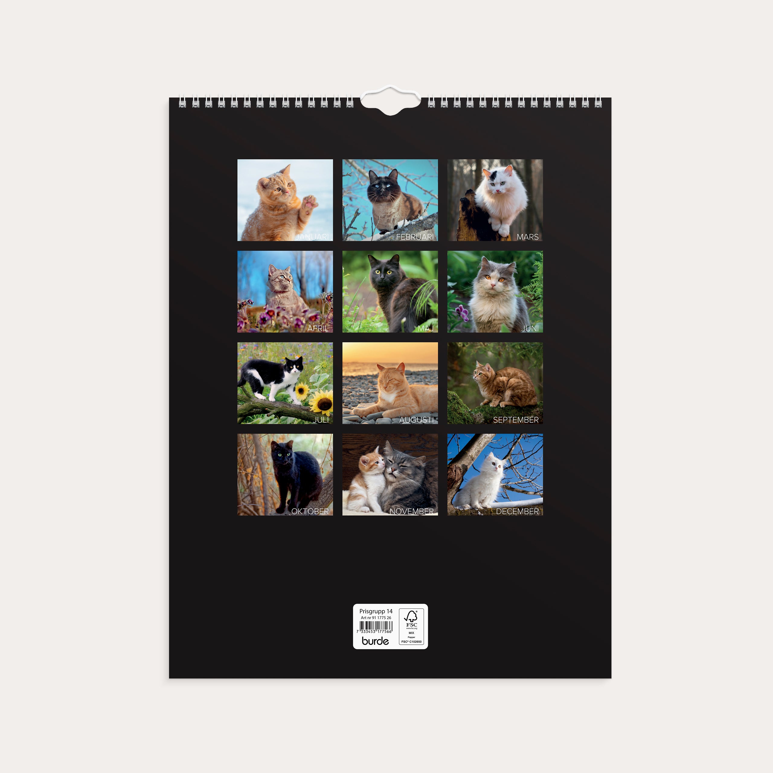 Väggkalender 2026 Stora Kattkalendern