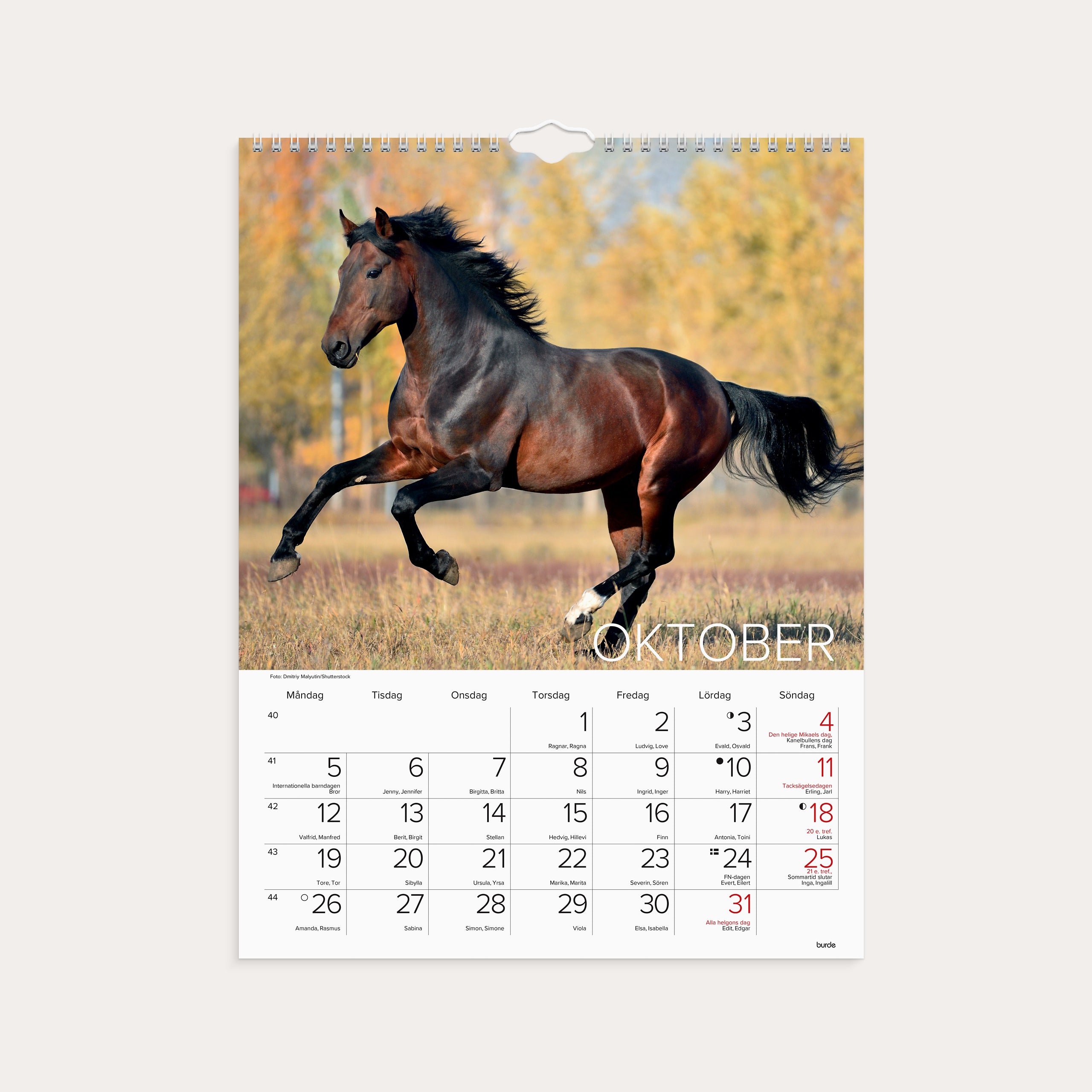 Väggkalender 2026 Stora Hästkalendern