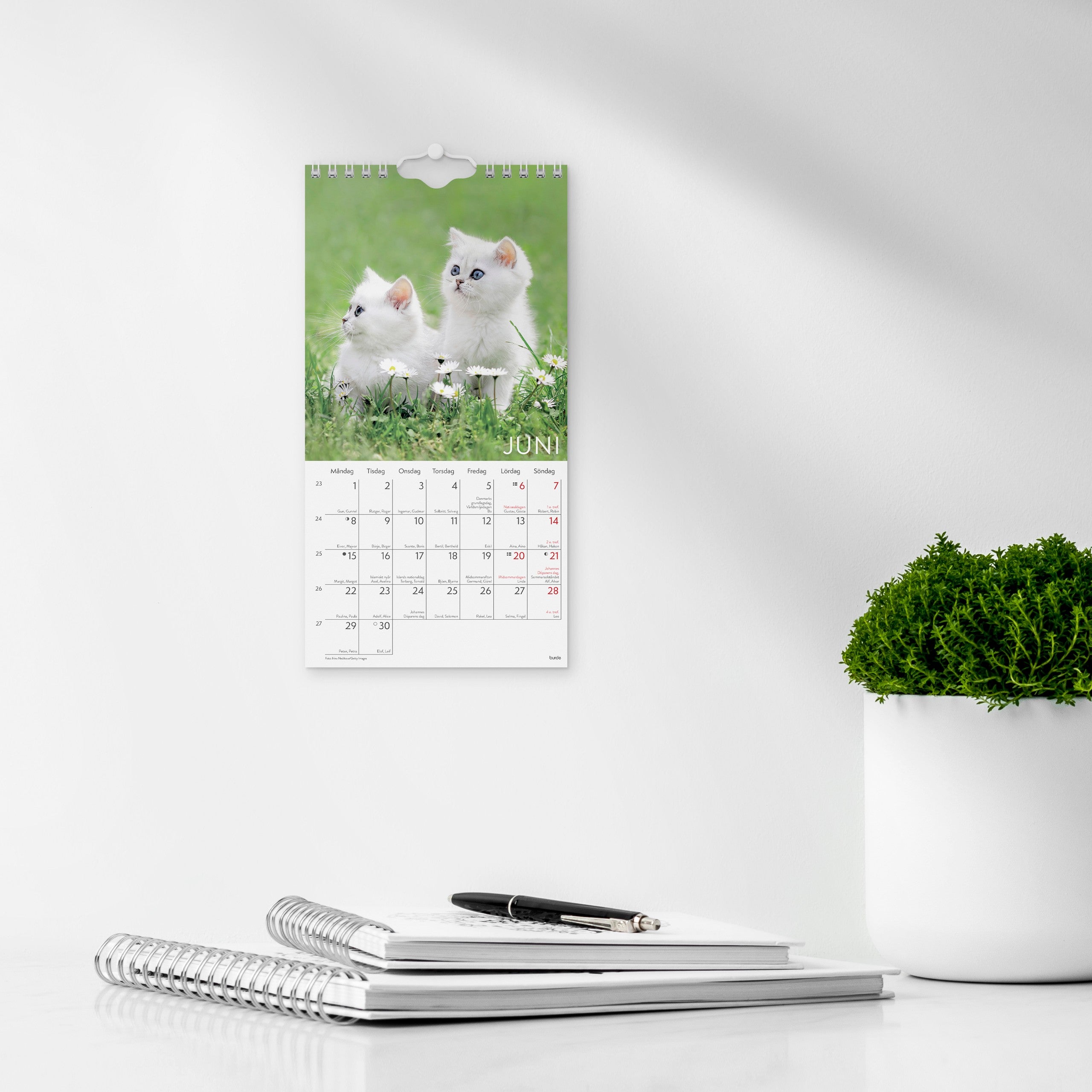 Väggkalender 2026 Liten Kattkalender