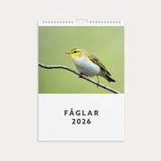 Väggkalender 2026 Fåglar