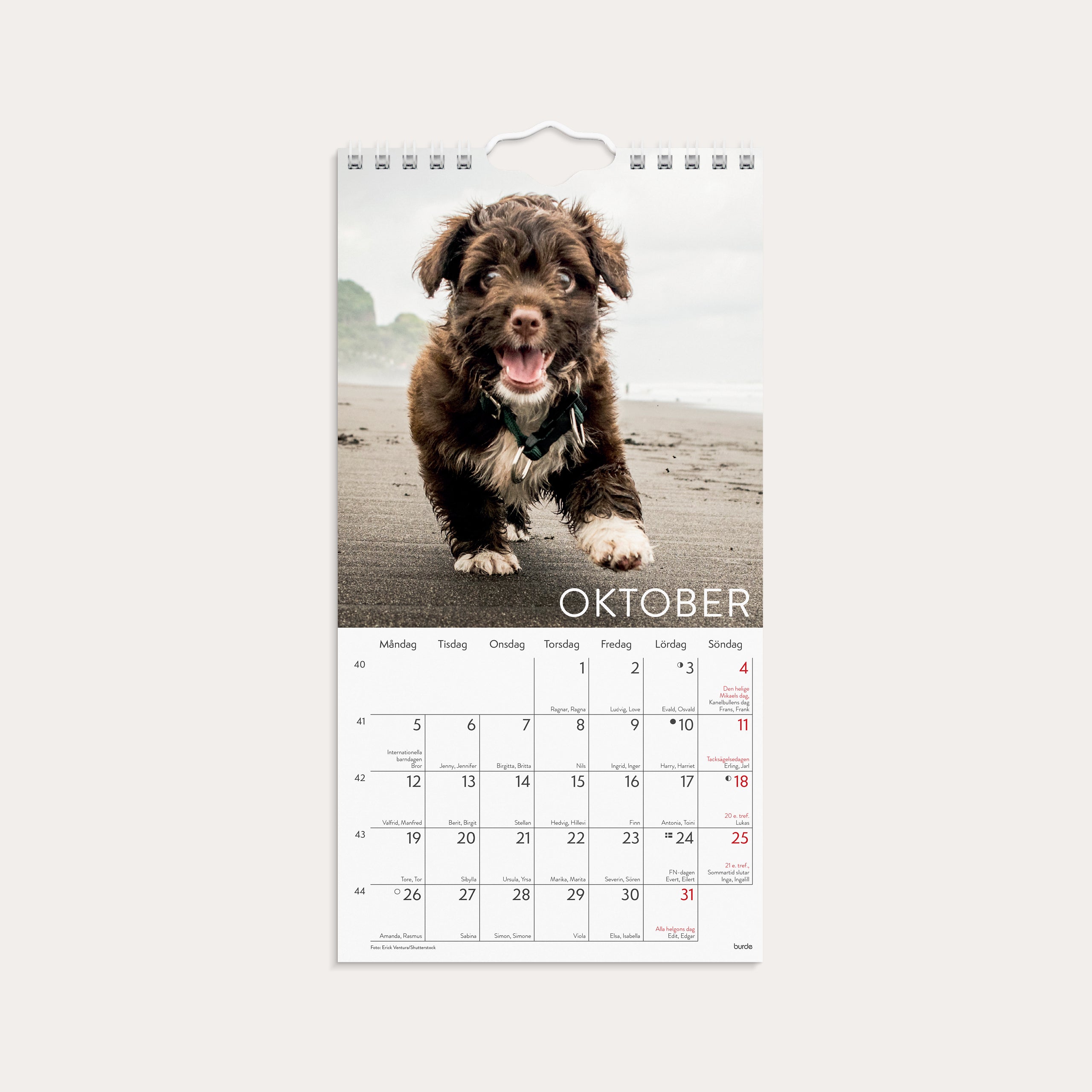 Väggkalender 2026 Liten Hundkalender