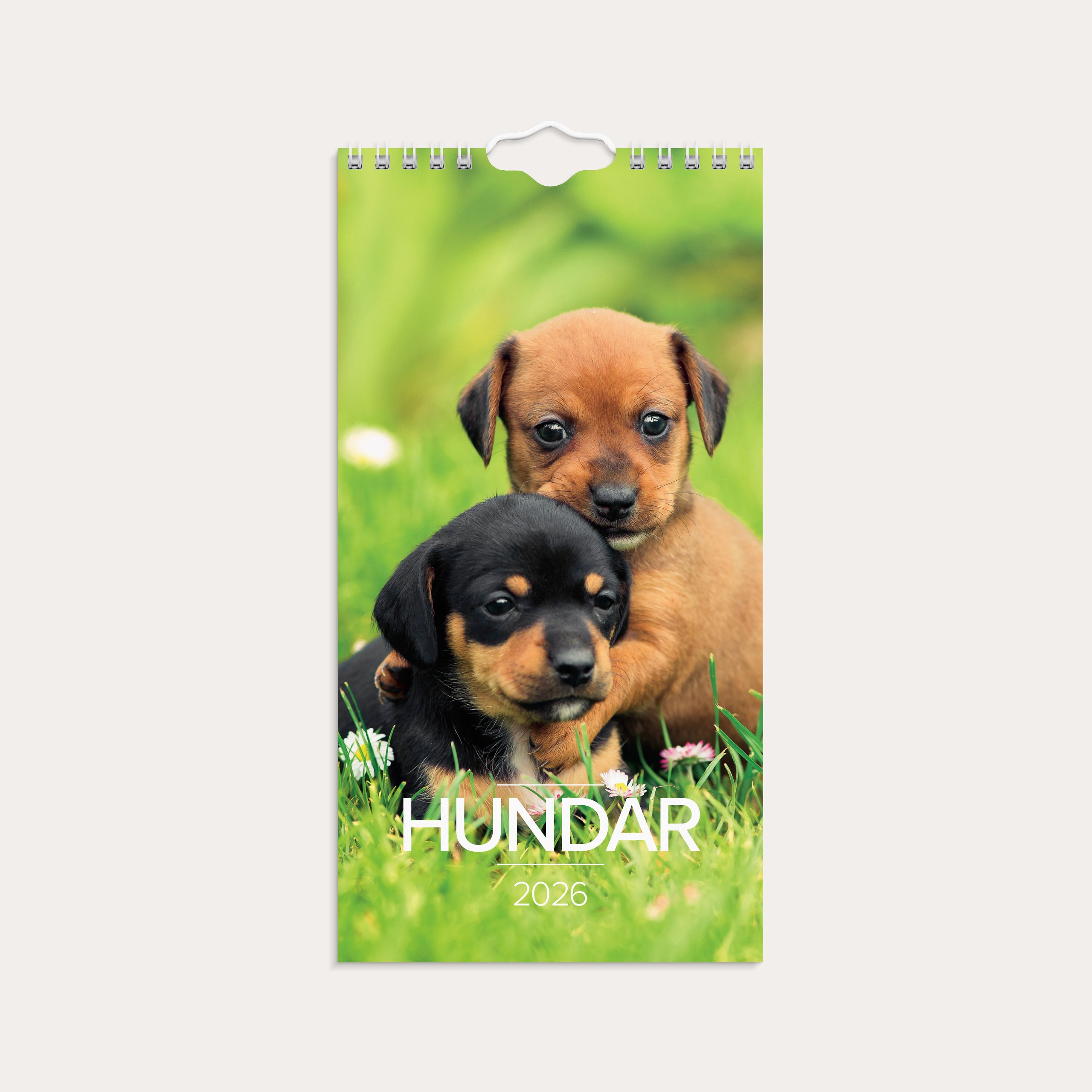 Väggkalender 2026 Liten Hundkalender