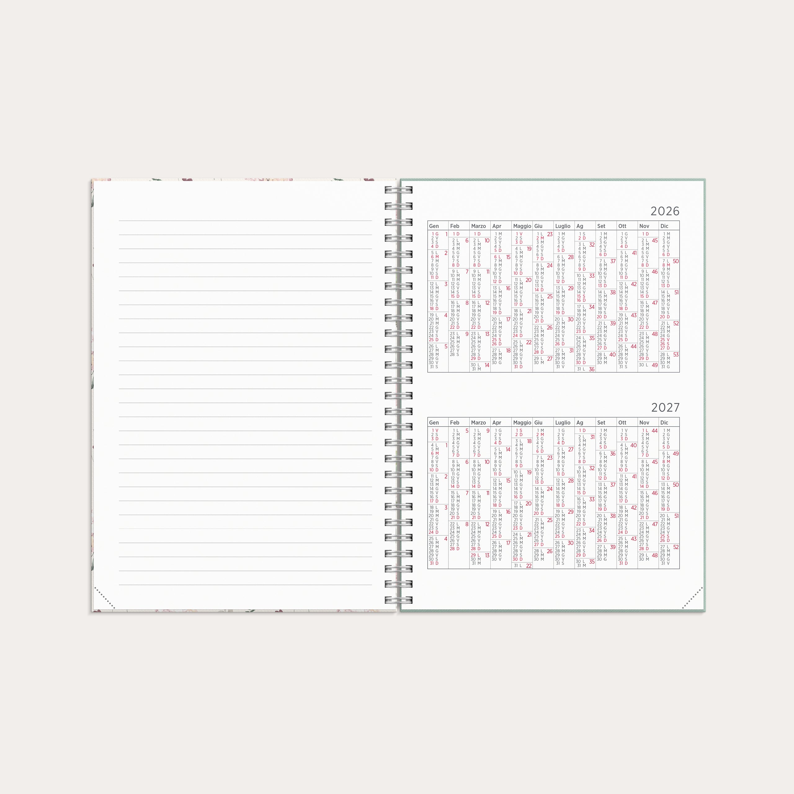 Agenda 2026 Senator A5 Story Fiore