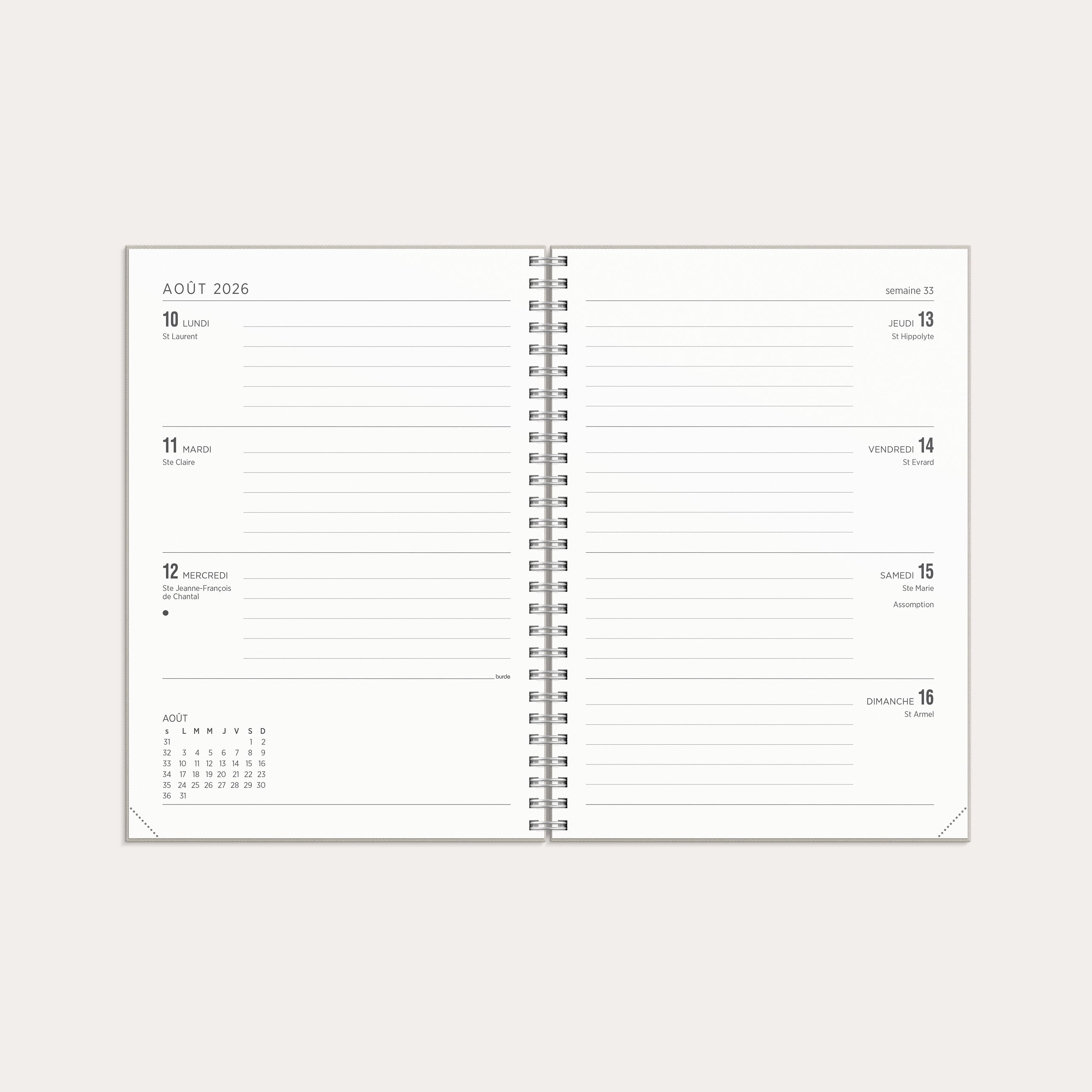 Agenda 2026 Senator A5 Story Tulipe