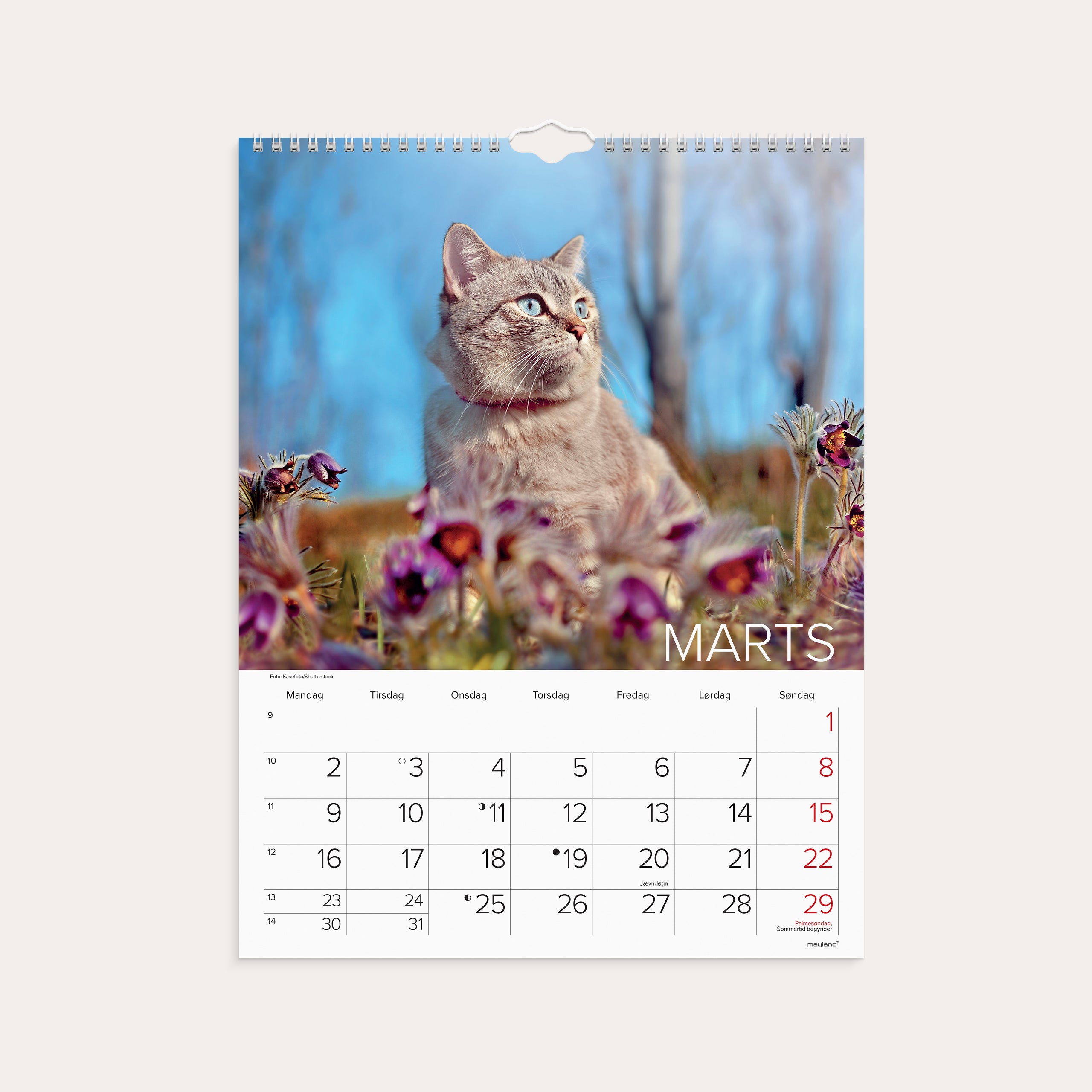Vægkalender Katte 2026