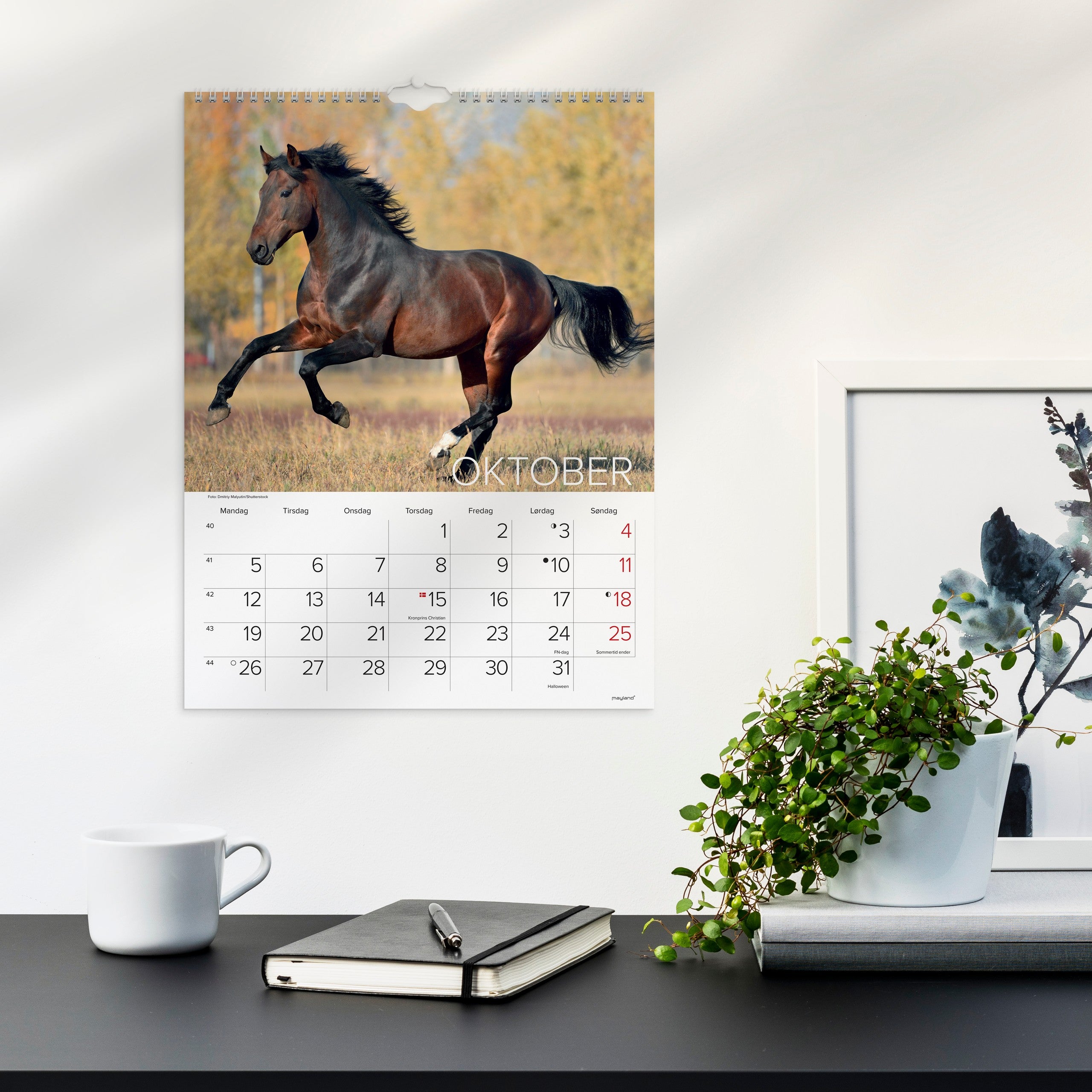 Vægkalender Heste 2026