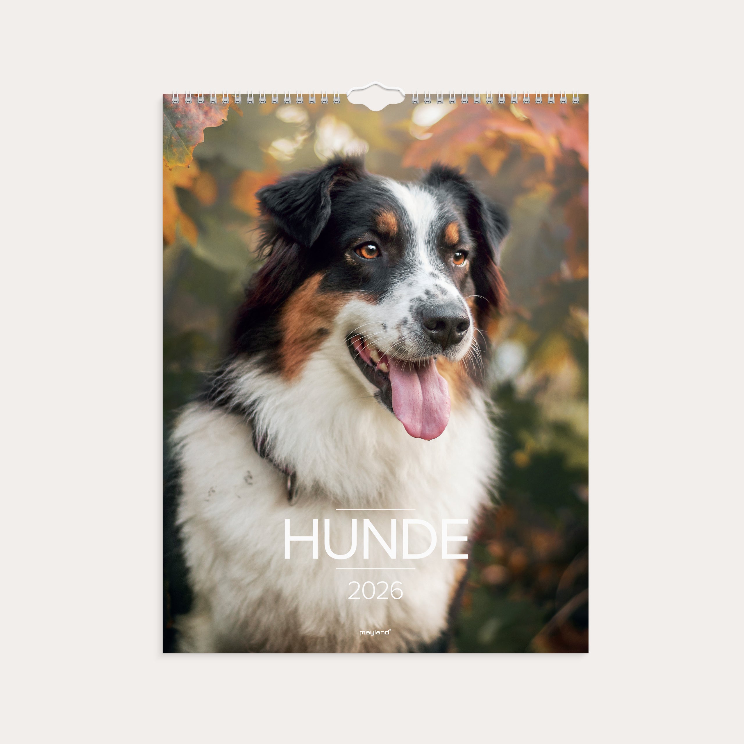 Vægkalender Hunde 2026