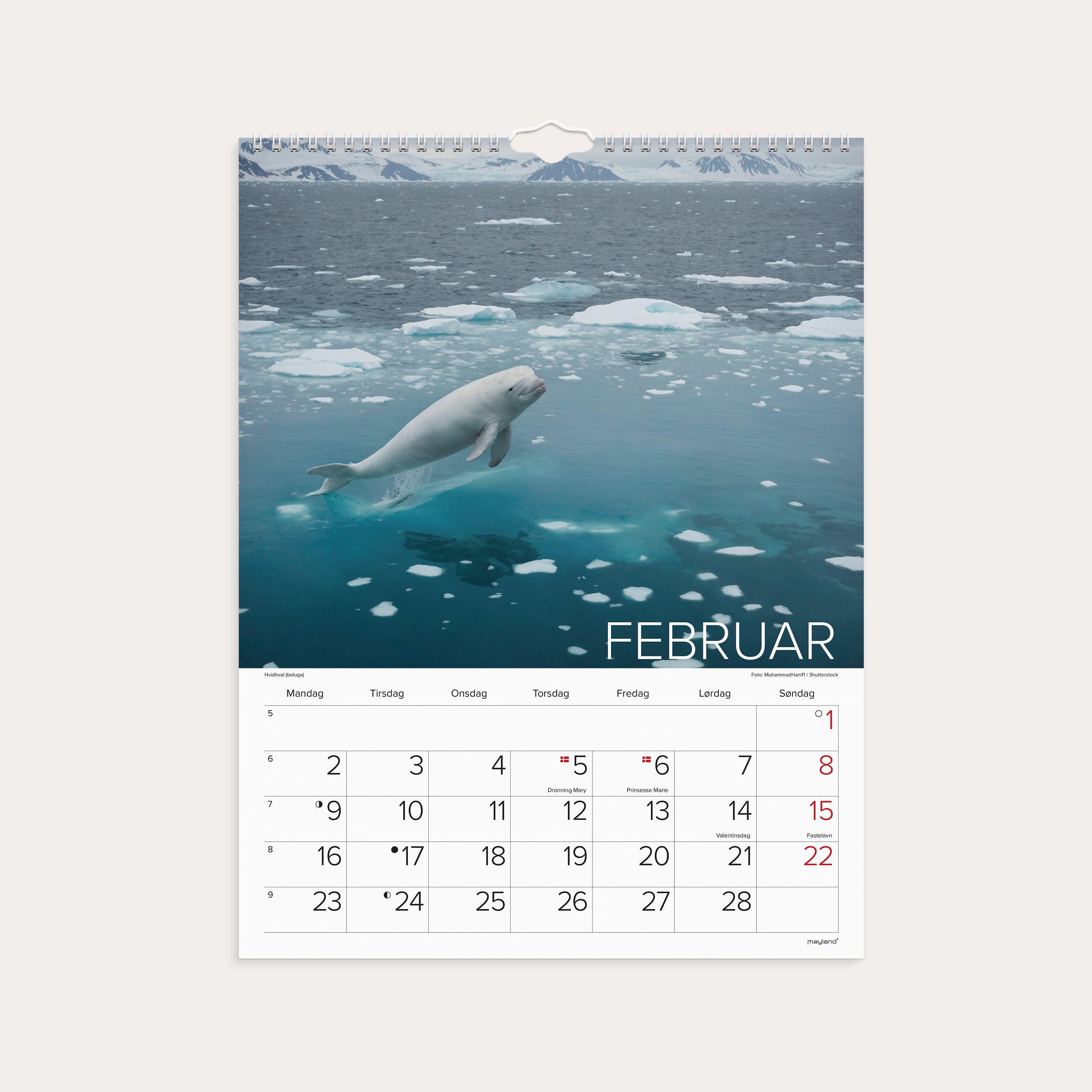 Vægkalender Verdens dyr 2026