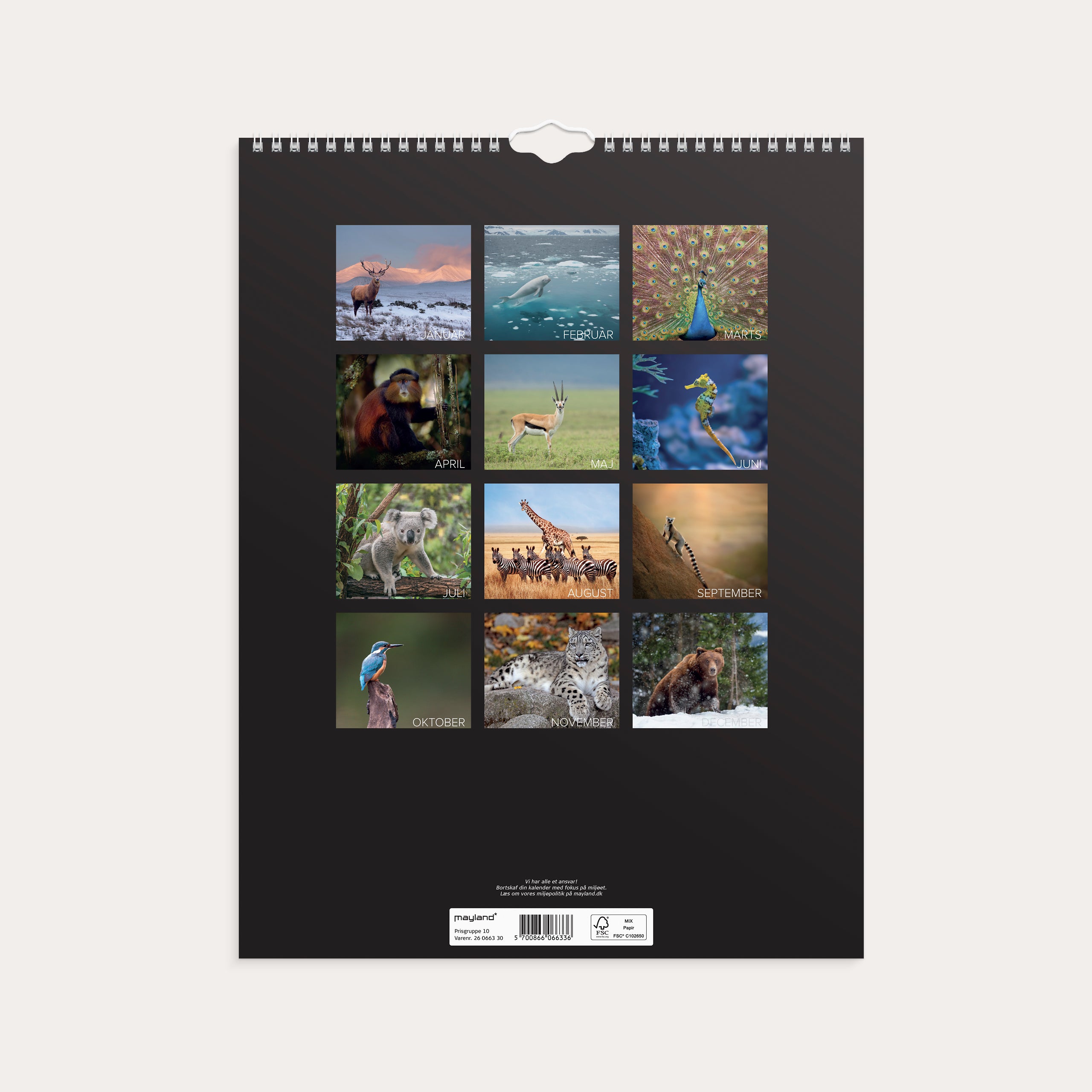 Vægkalender Verdens dyr 2026