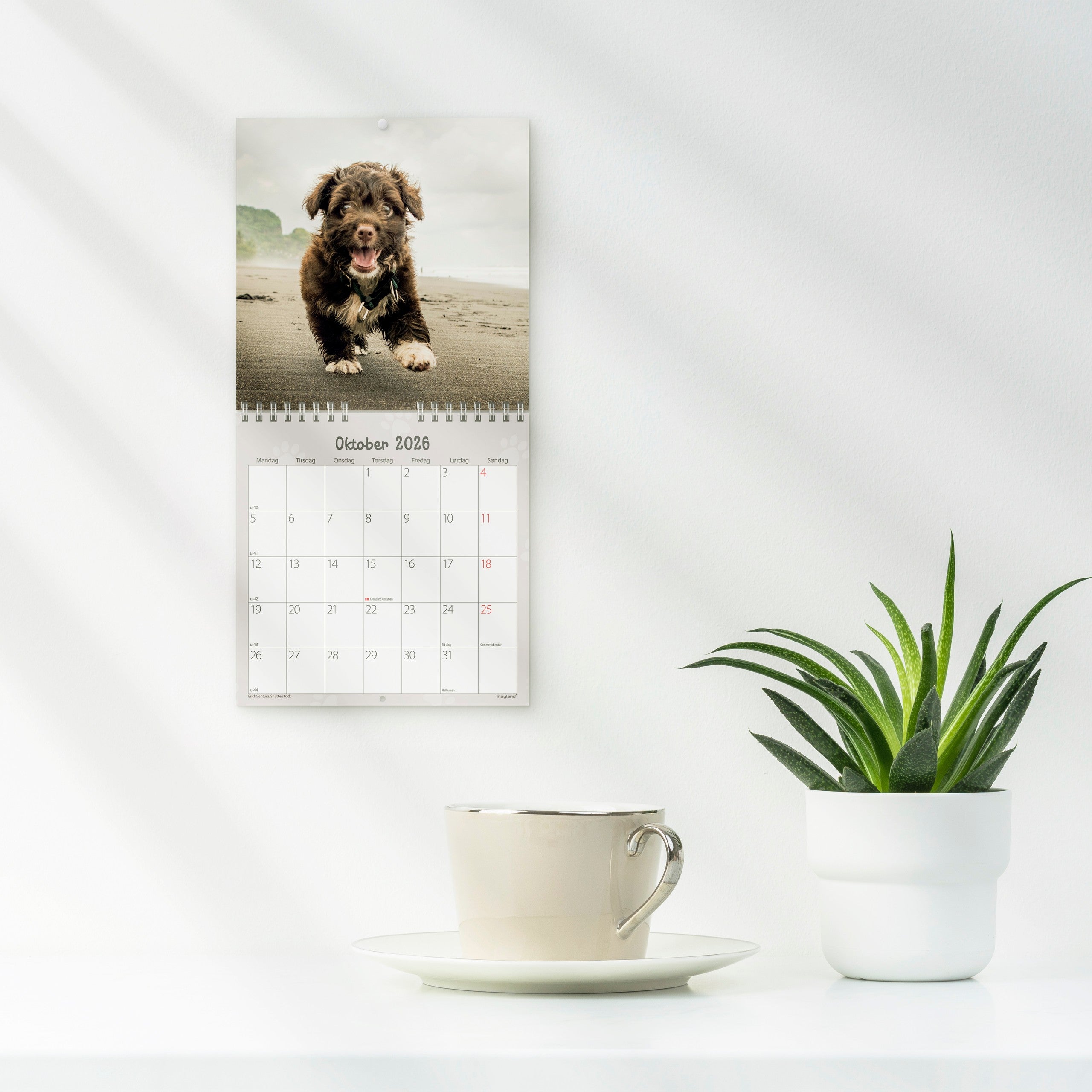 Vægkalender mini Hundehvalpe 2026