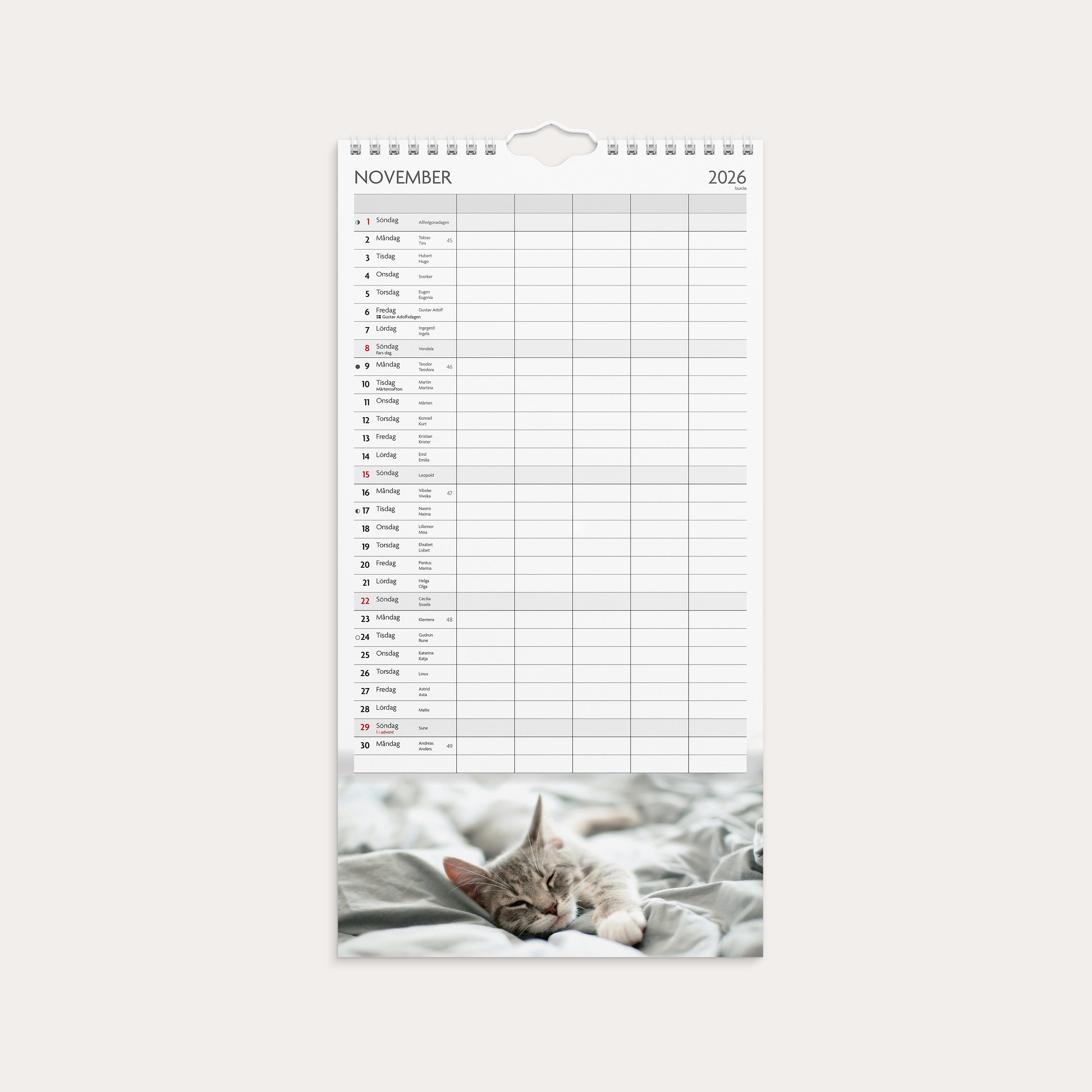 Familjekalender 26/27 Katter