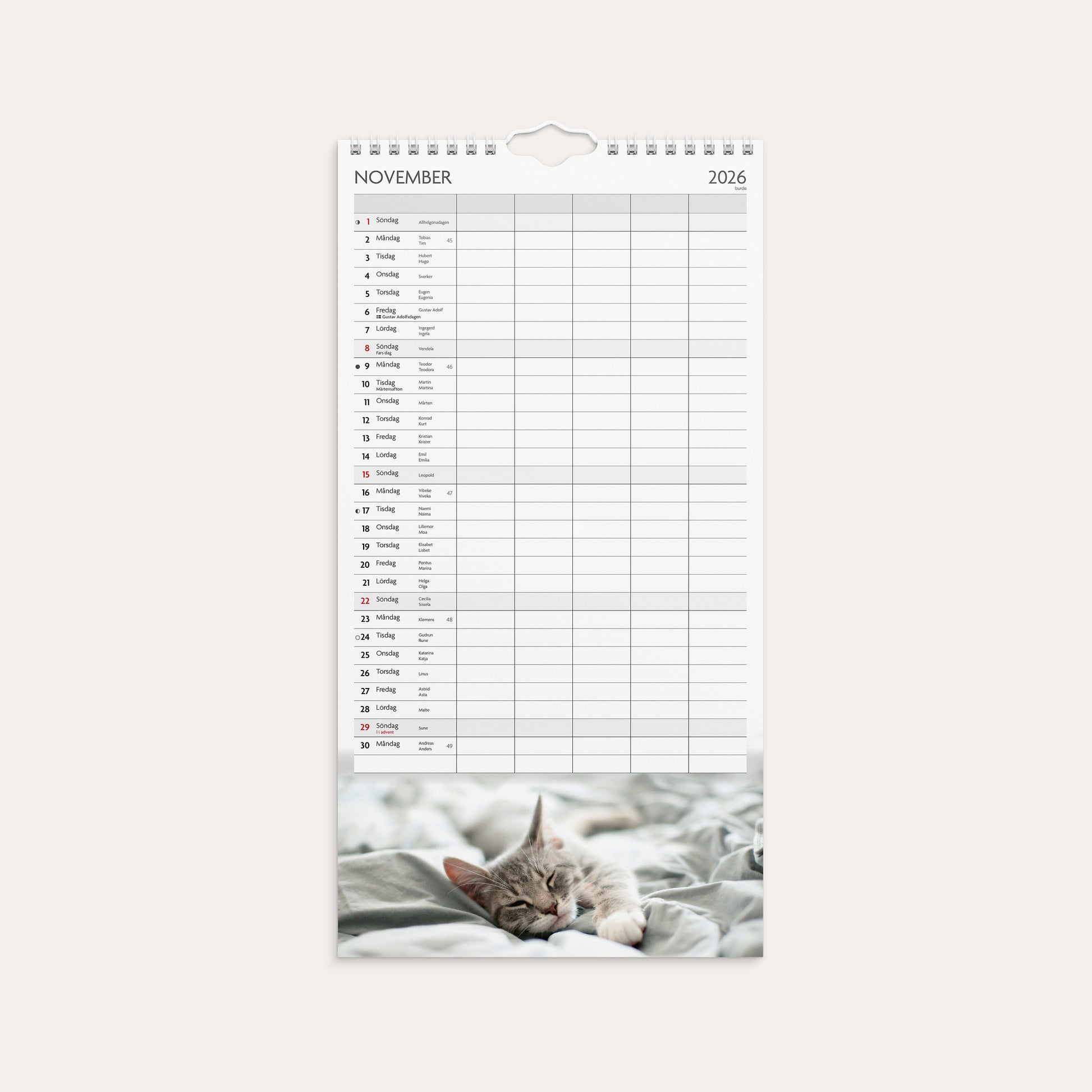 Familjekalender 26/27 Katter – detail view