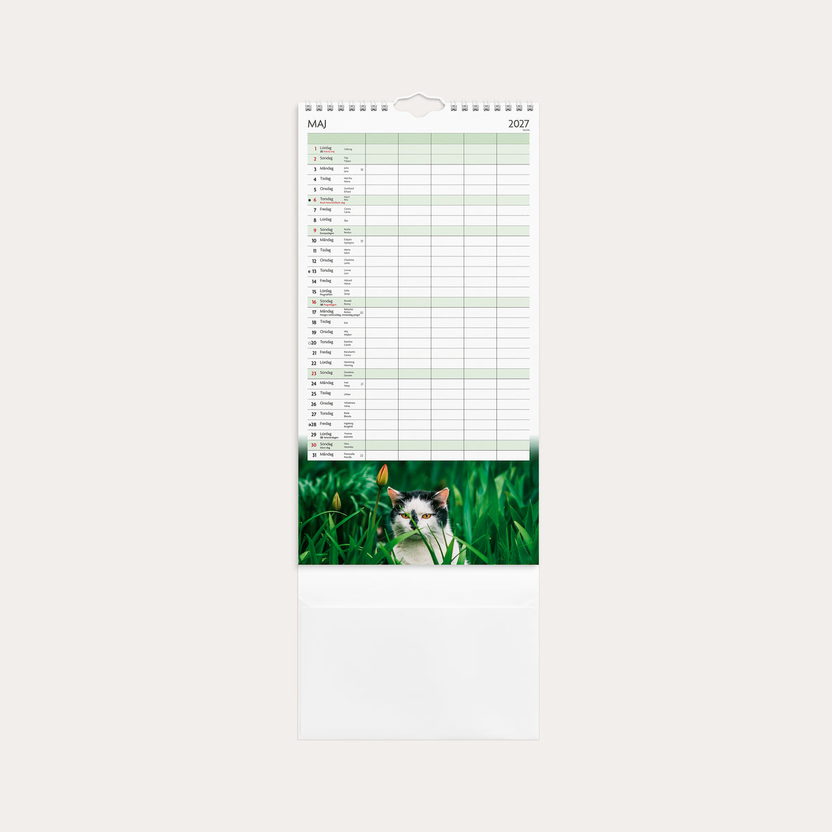 Familjekalender 26/27 Katter