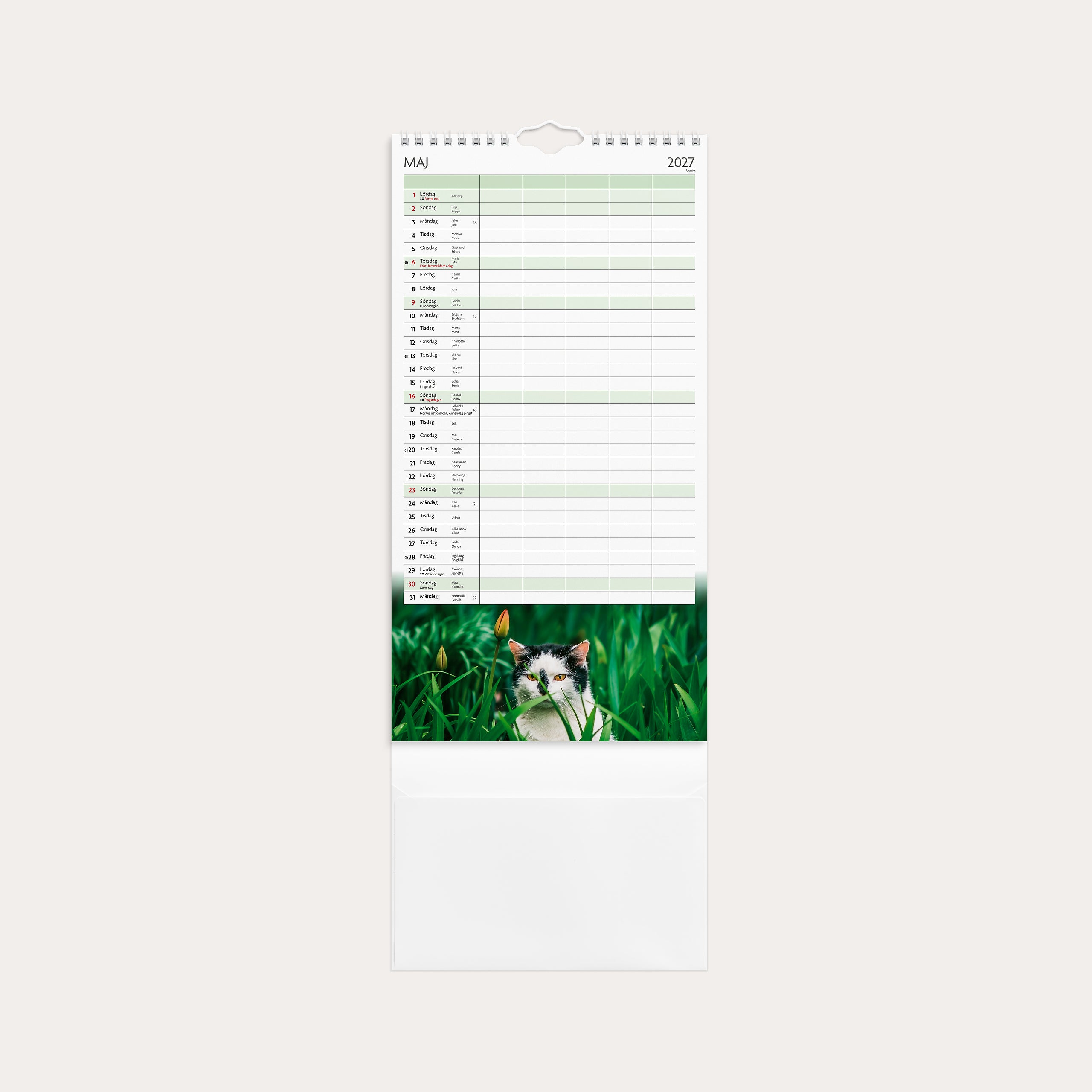 Familjekalender 26/27 Katter – detail view