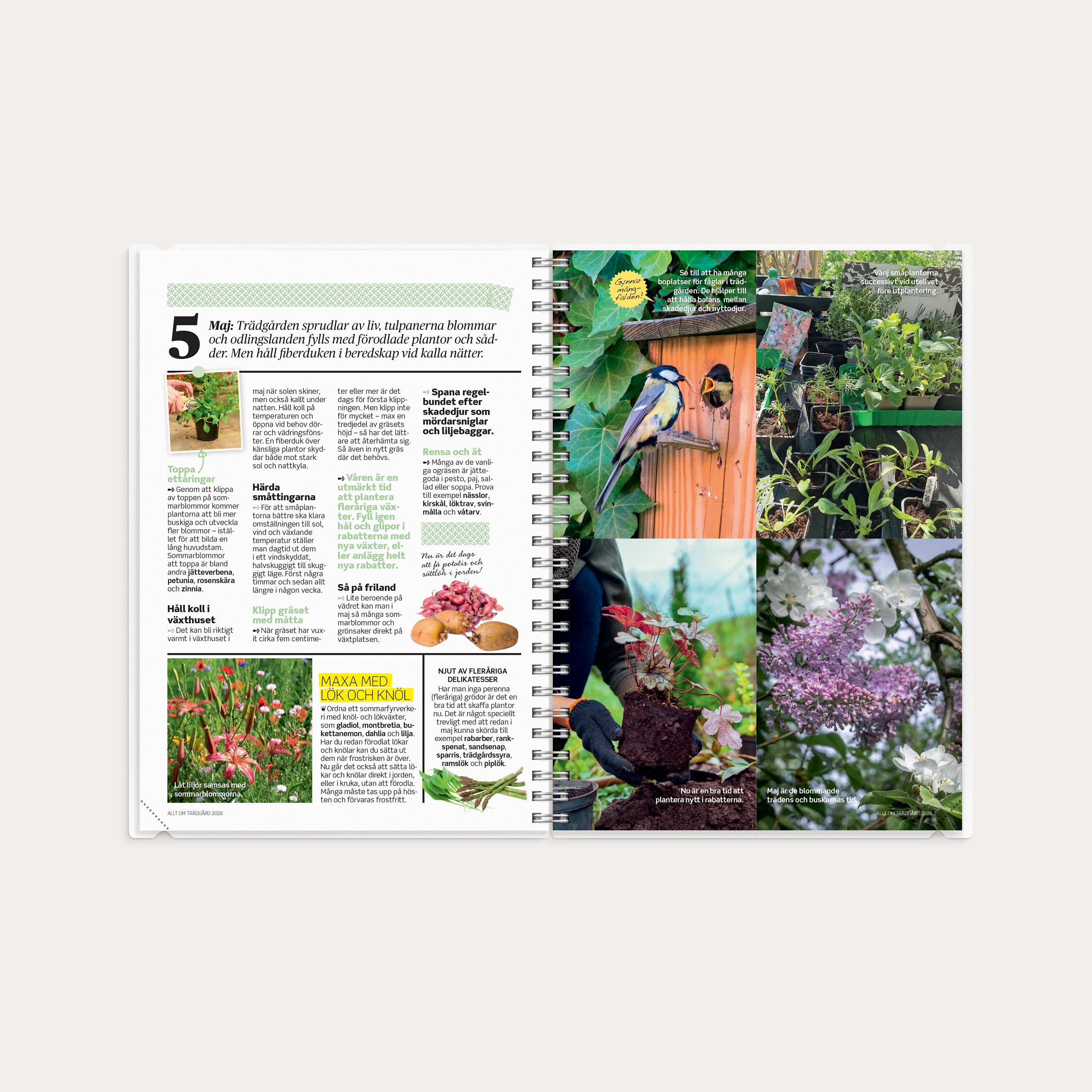 Kalender 2026 Allt om Trädgård