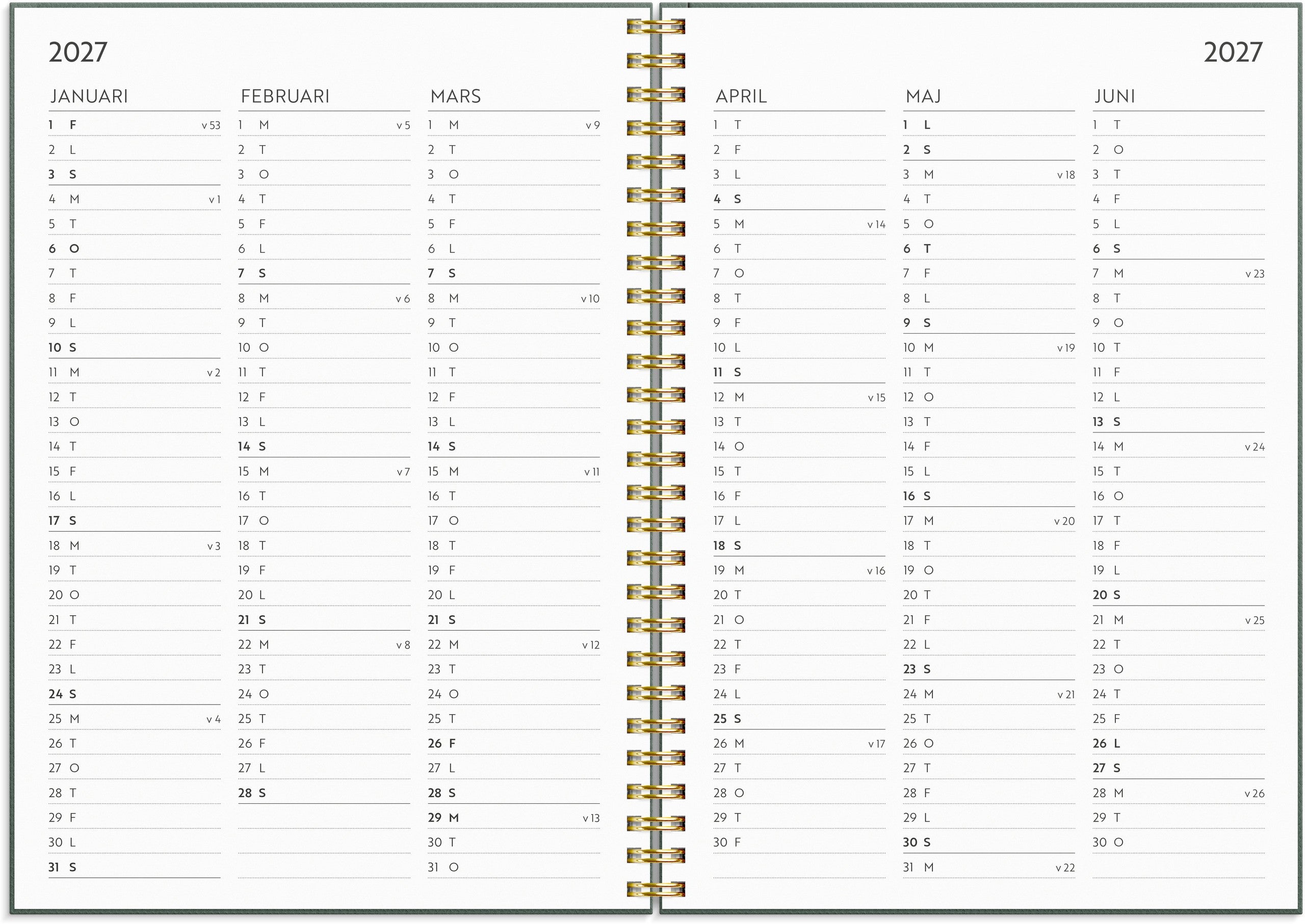Life Planner Do more 2027