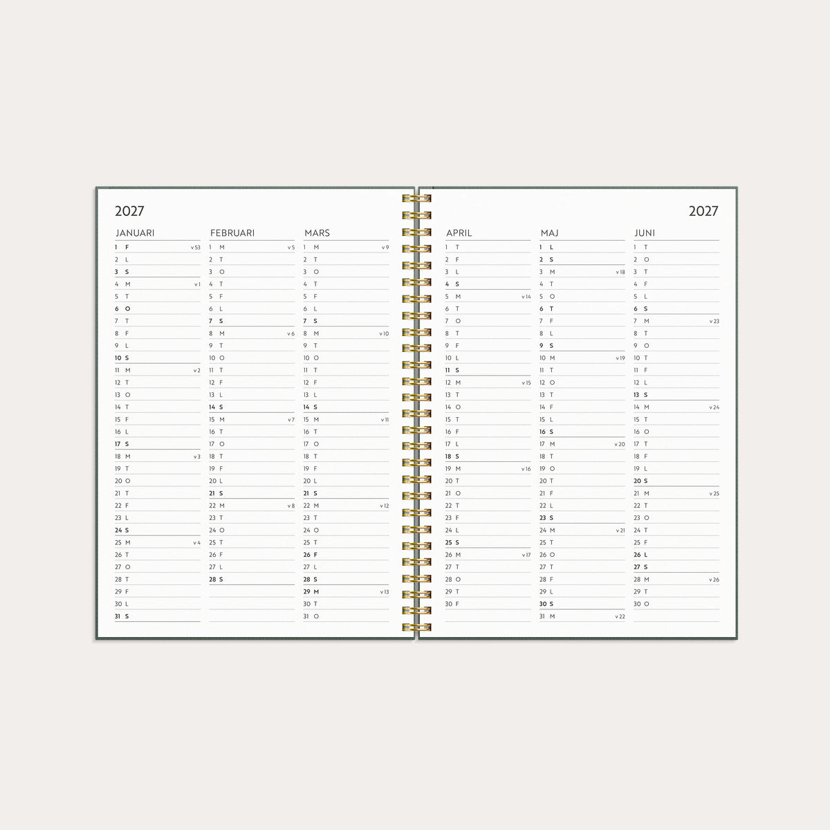 Life Planner Do more 2027