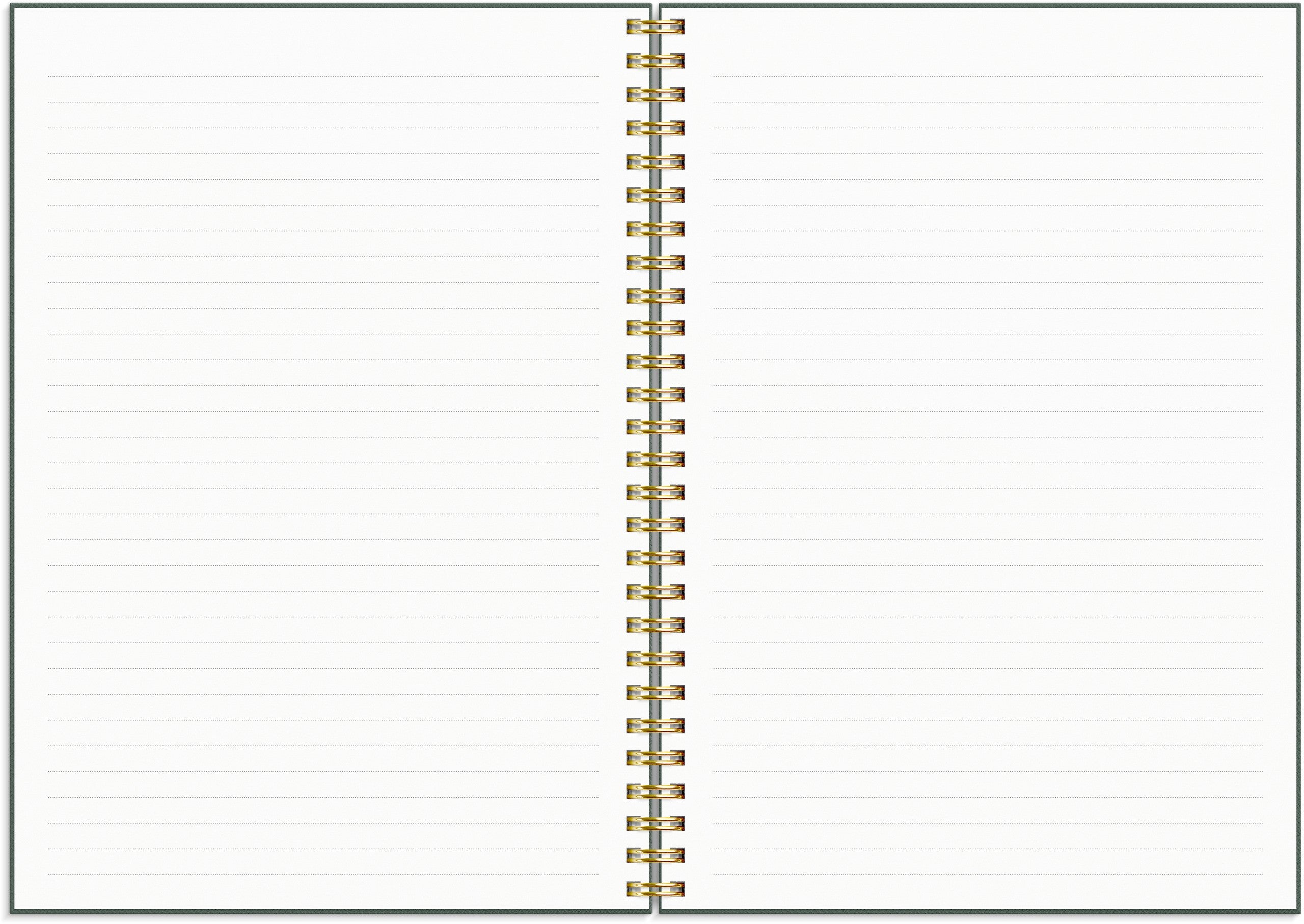 Life Planner Do more 2027