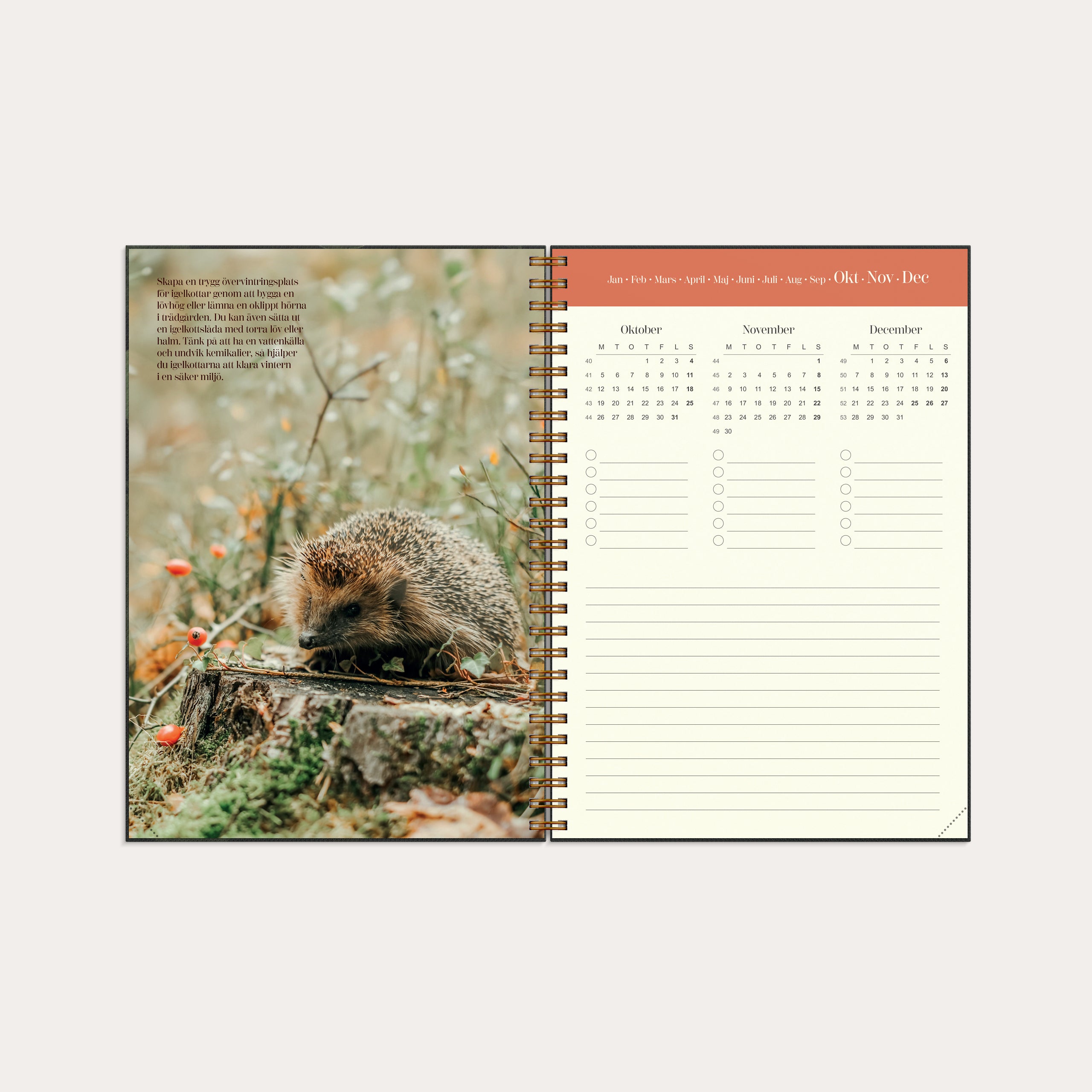 Kalender 2026 Lantdrömmar