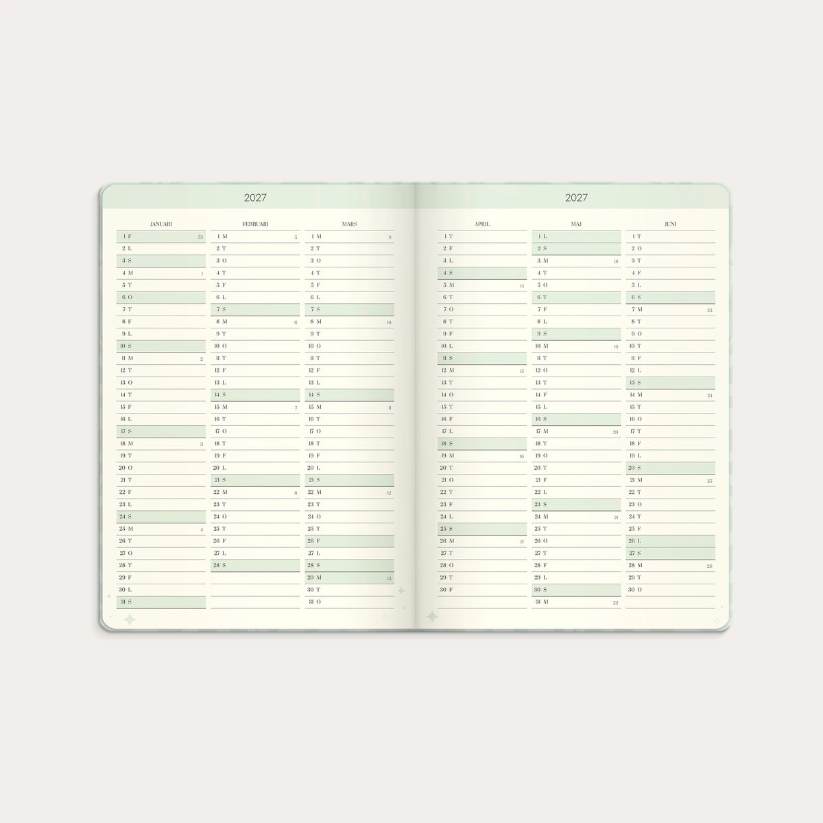 Life Planner Dream & Do 2027