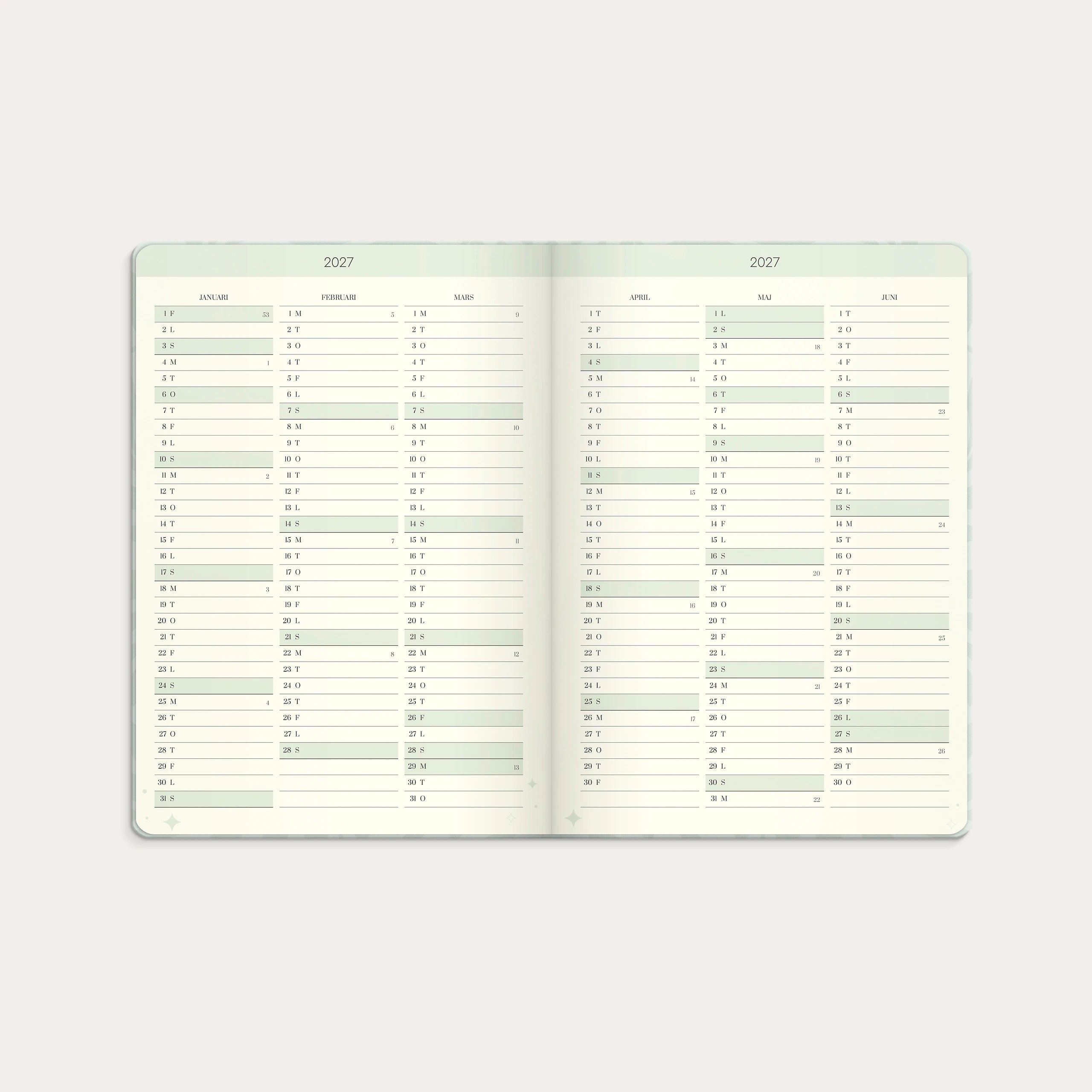 Life Planner Dream & Do 2027