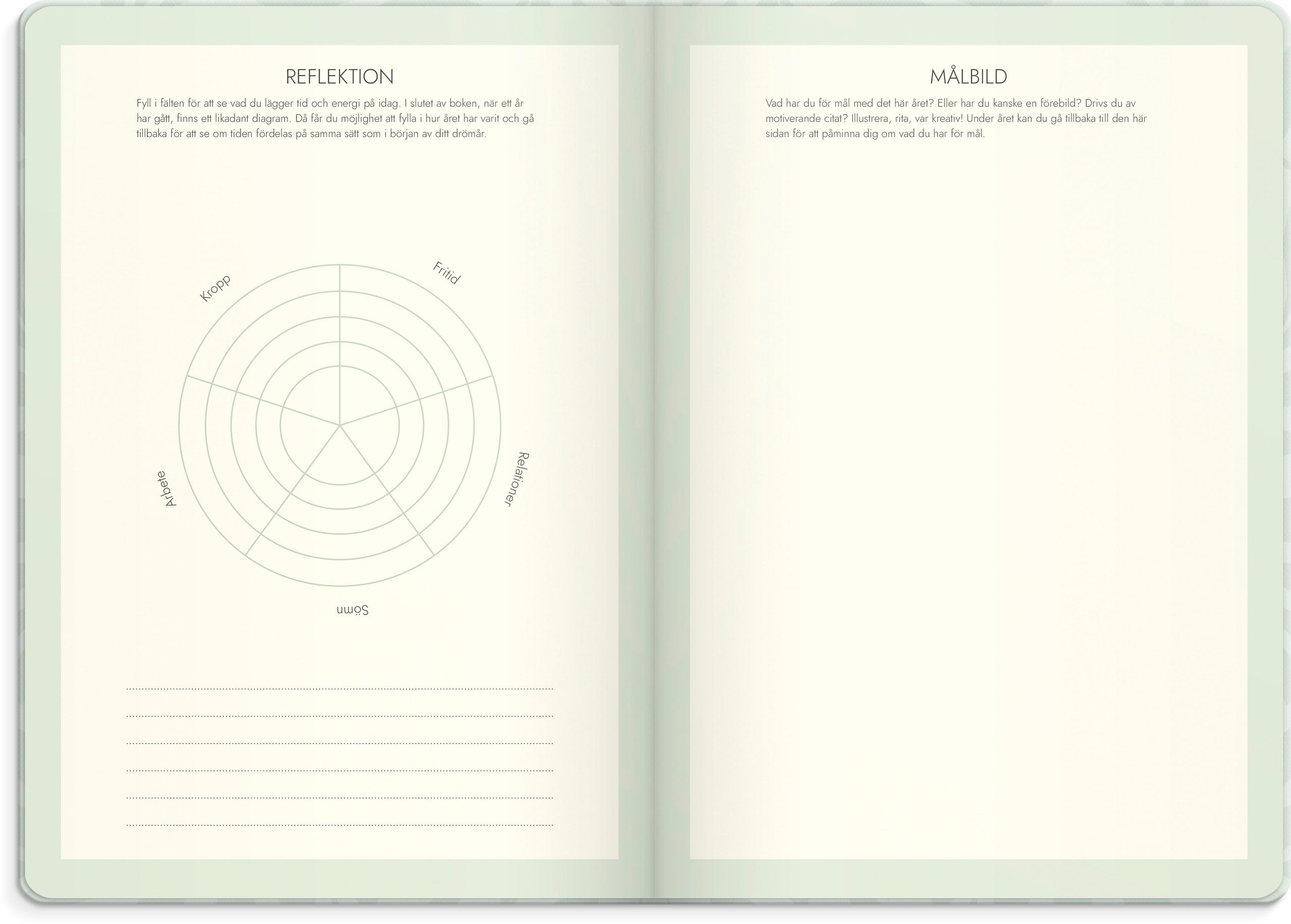 Life Planner Dream & Do 2027