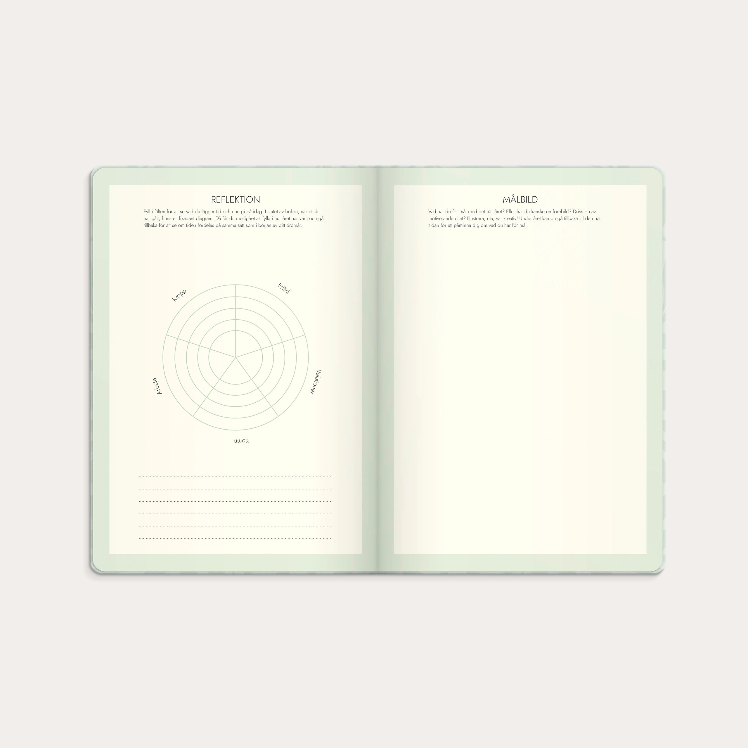 Life Planner Dream & Do 2027