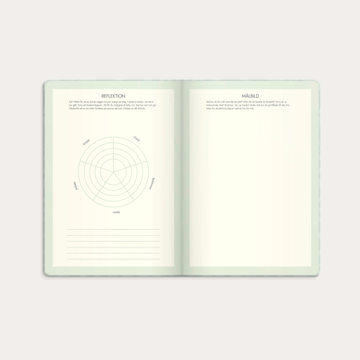Life Planner Dream & Do 2027