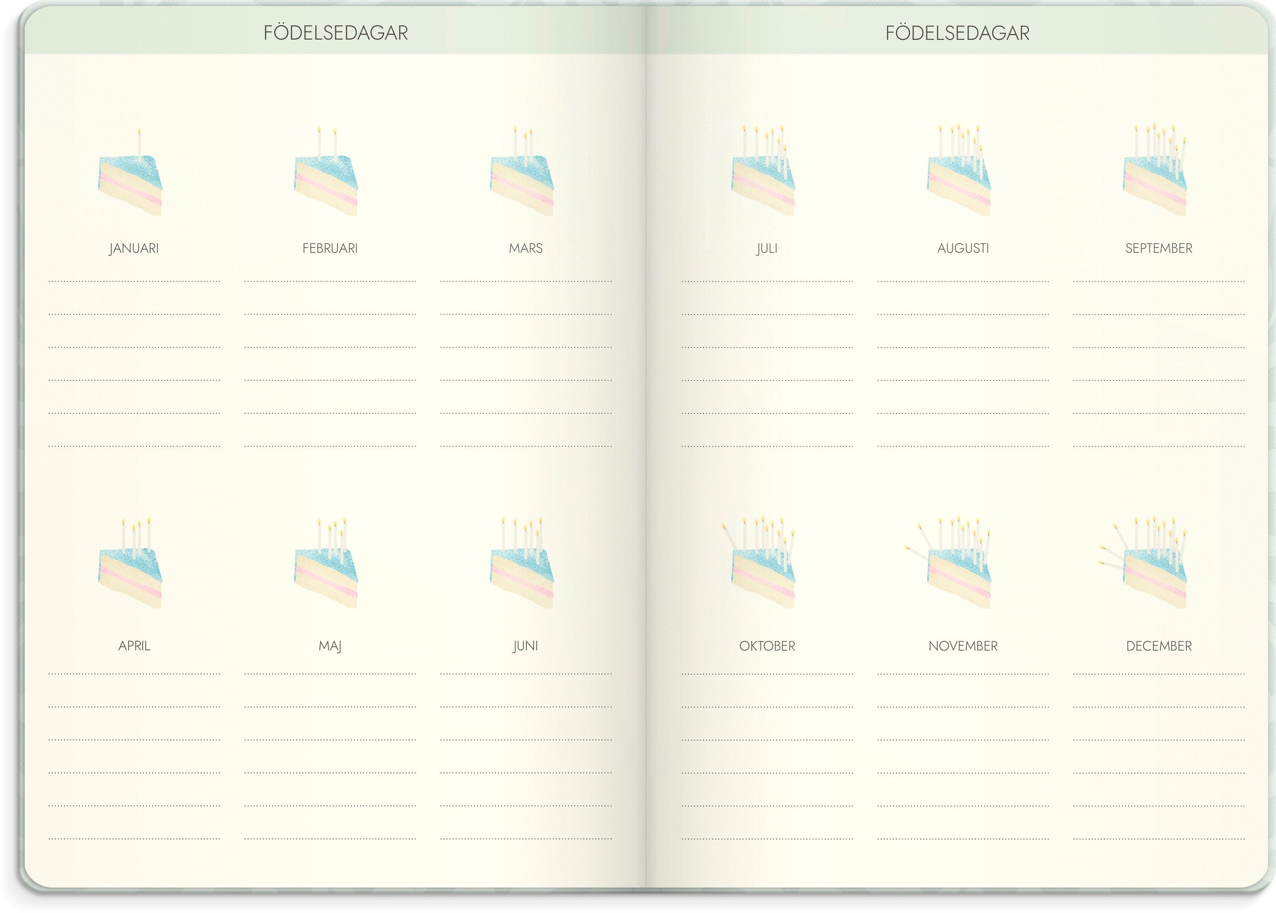 Life Planner Dream & Do 2027