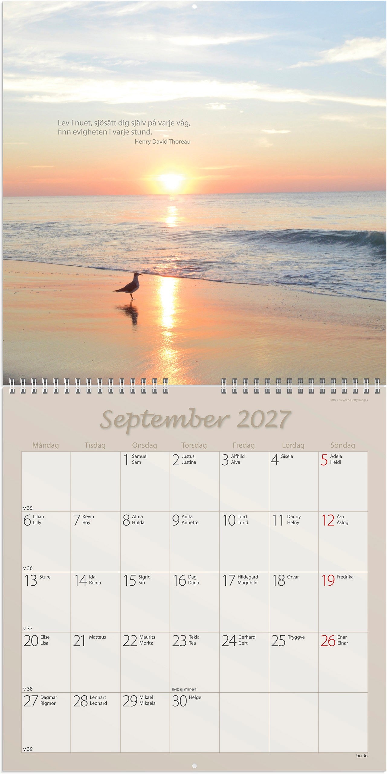 Väggkalender 2027 Carpe Diem