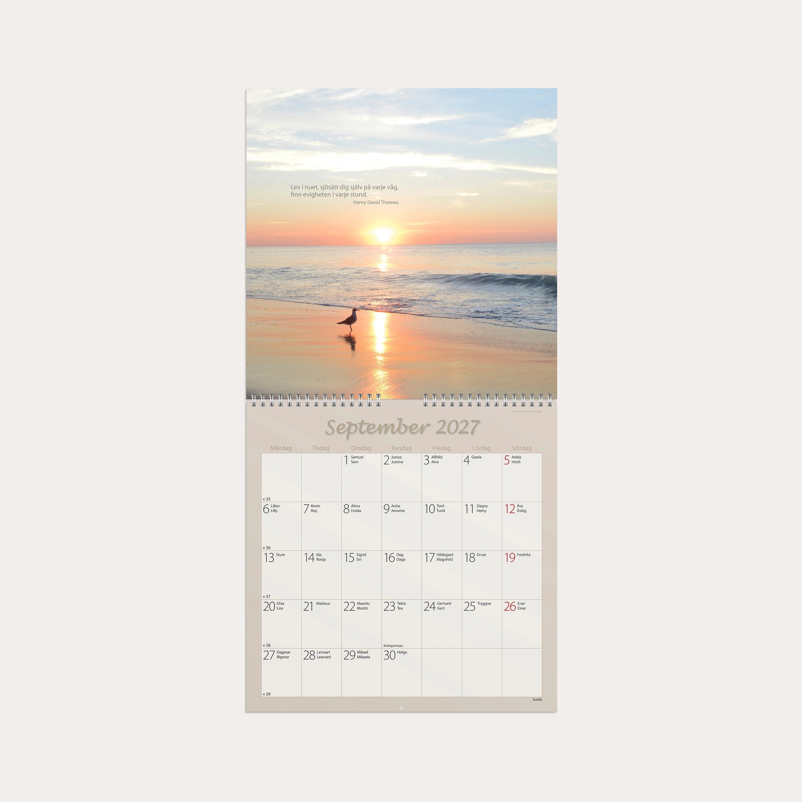 Väggkalender 2027 Carpe Diem