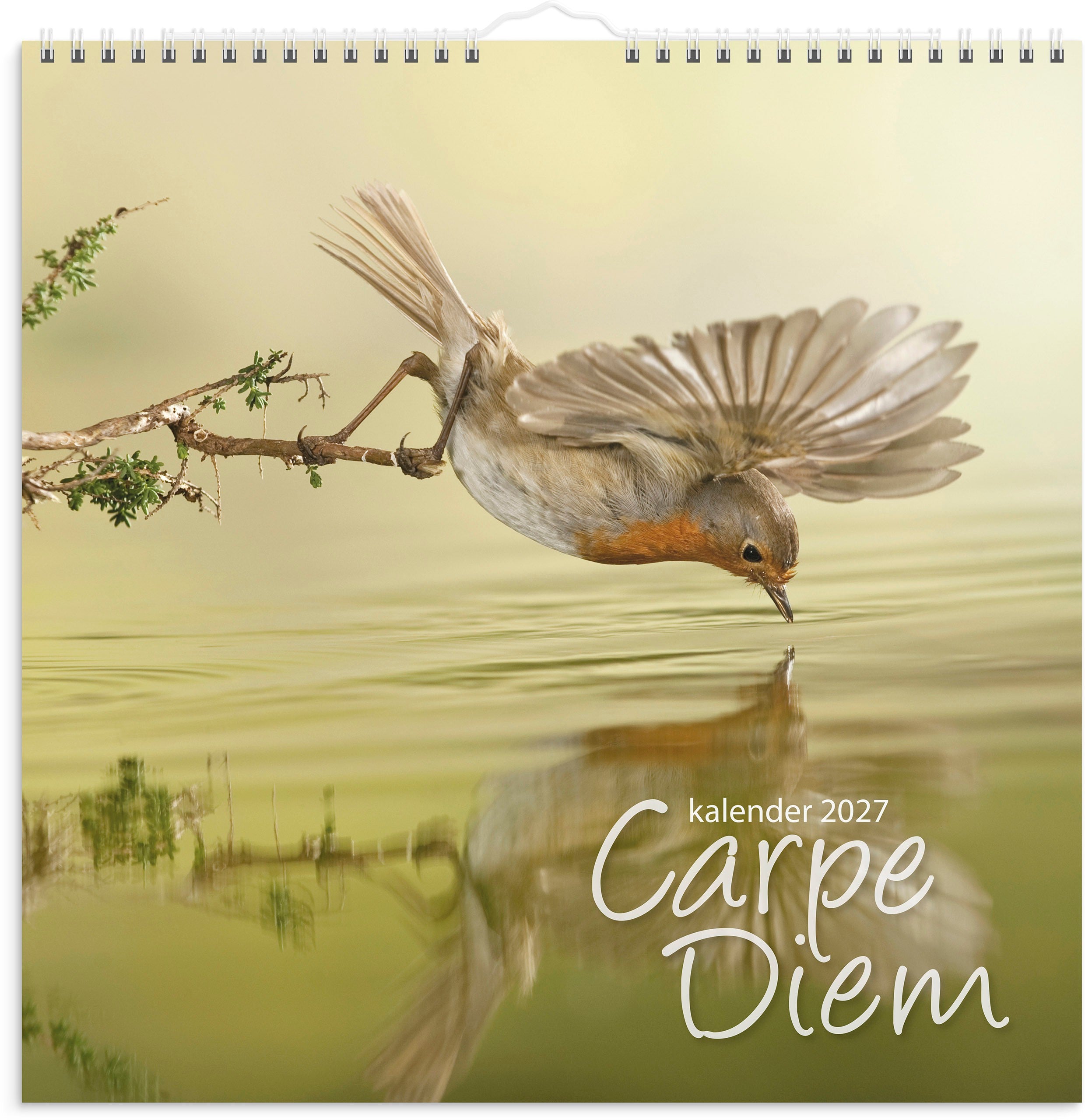 Väggkalender 2027 Carpe Diem