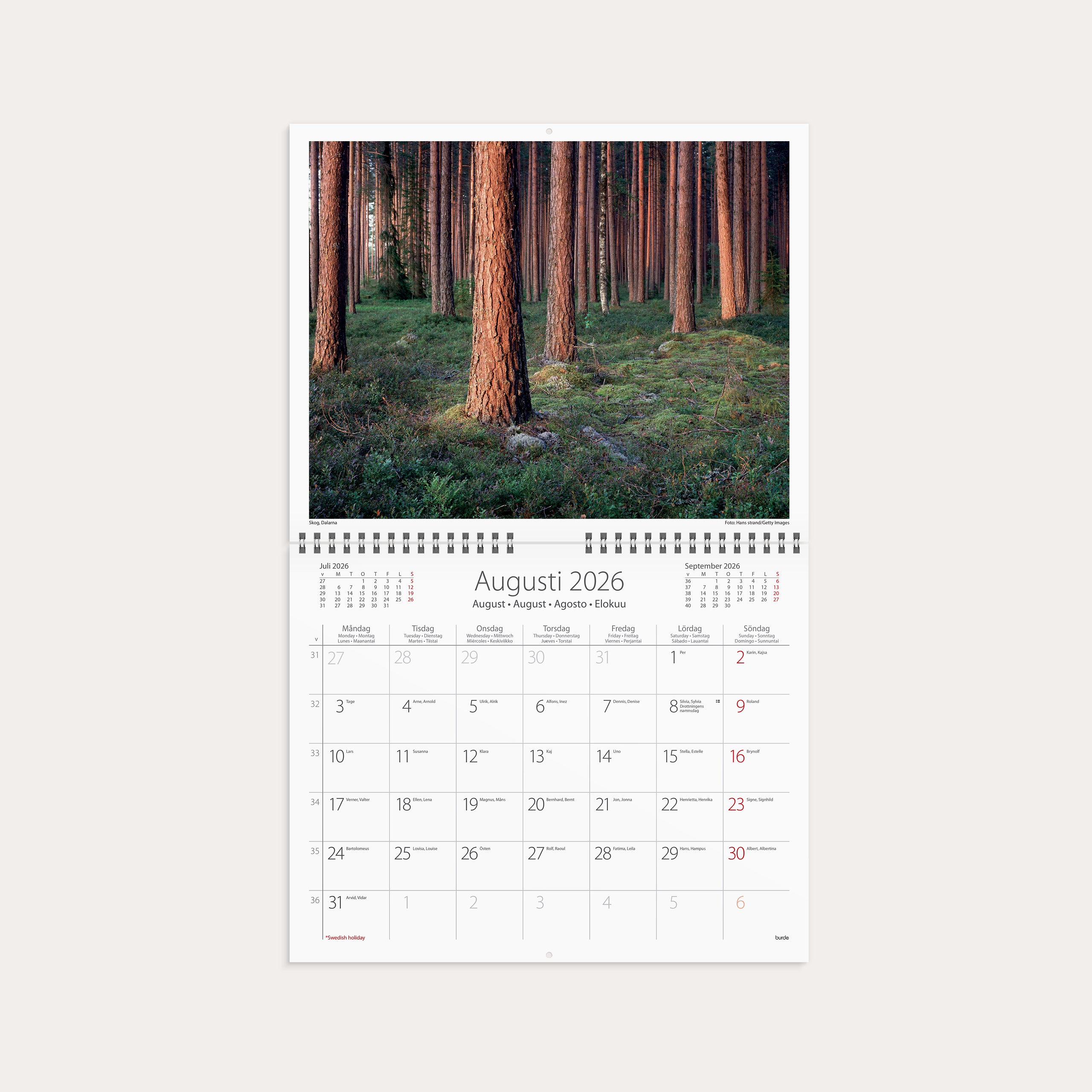 Väggkalender 2026 Vår vackra skog