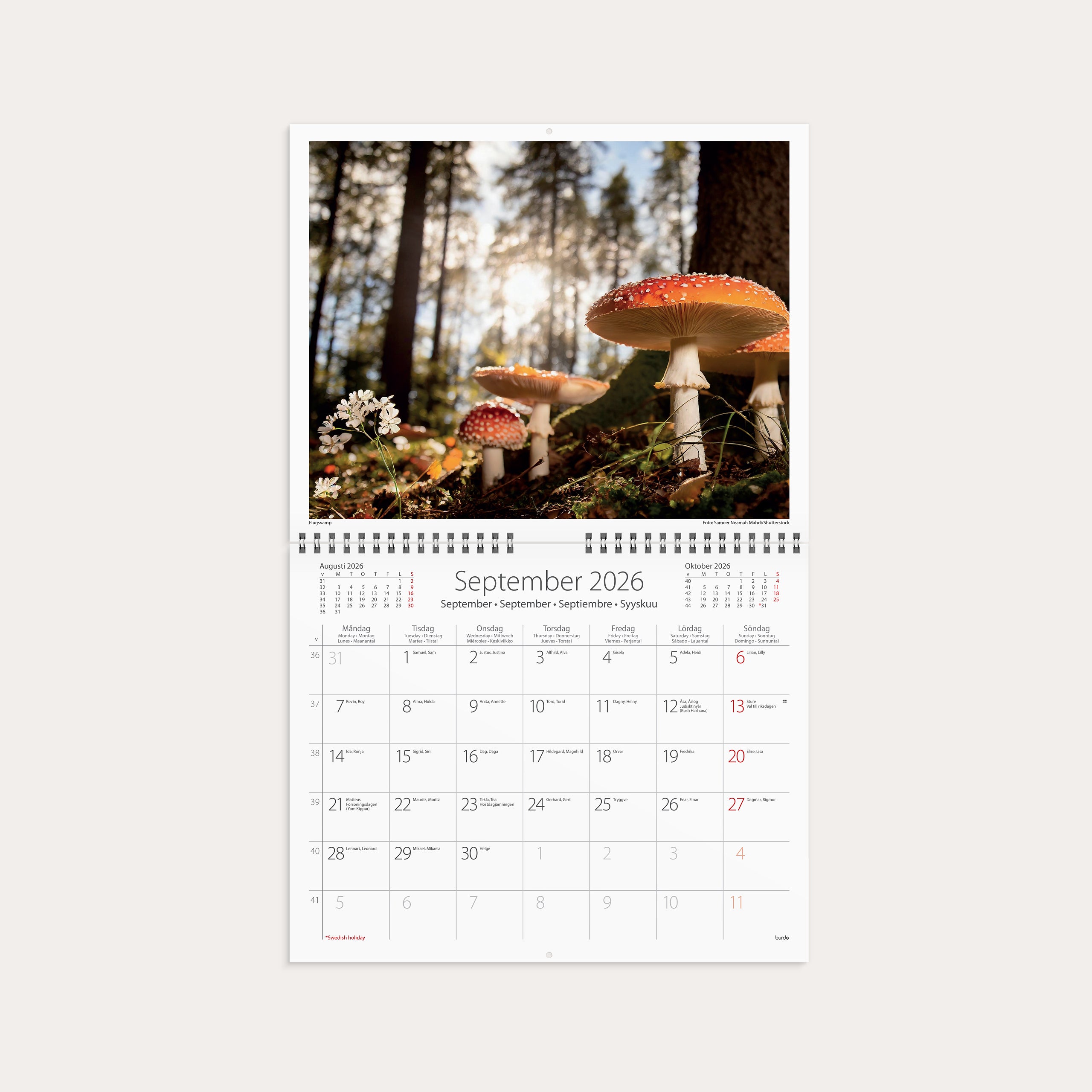 Väggkalender 2026 Vår vackra skog