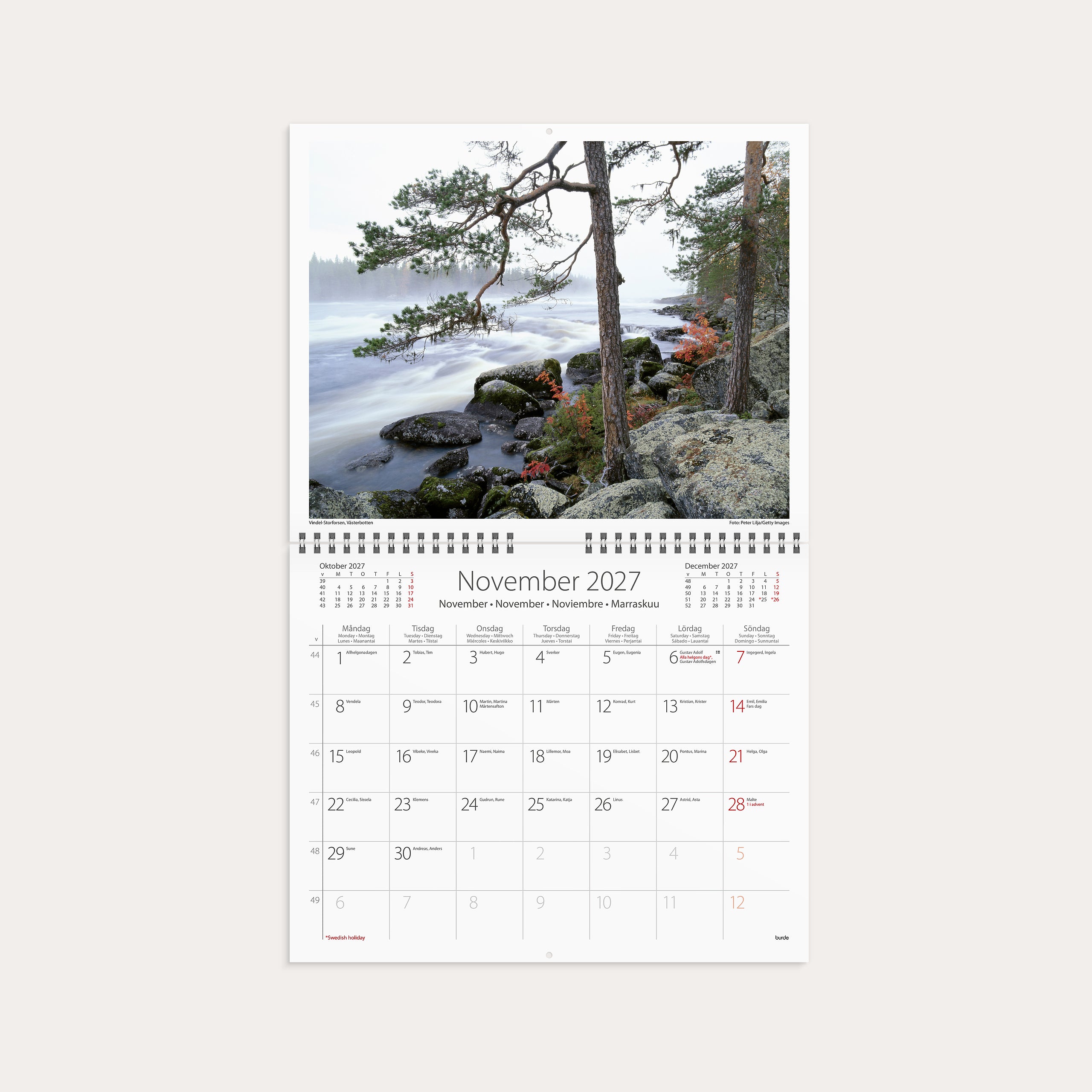 Väggkalender 2027 Vår vackra skog – detail view