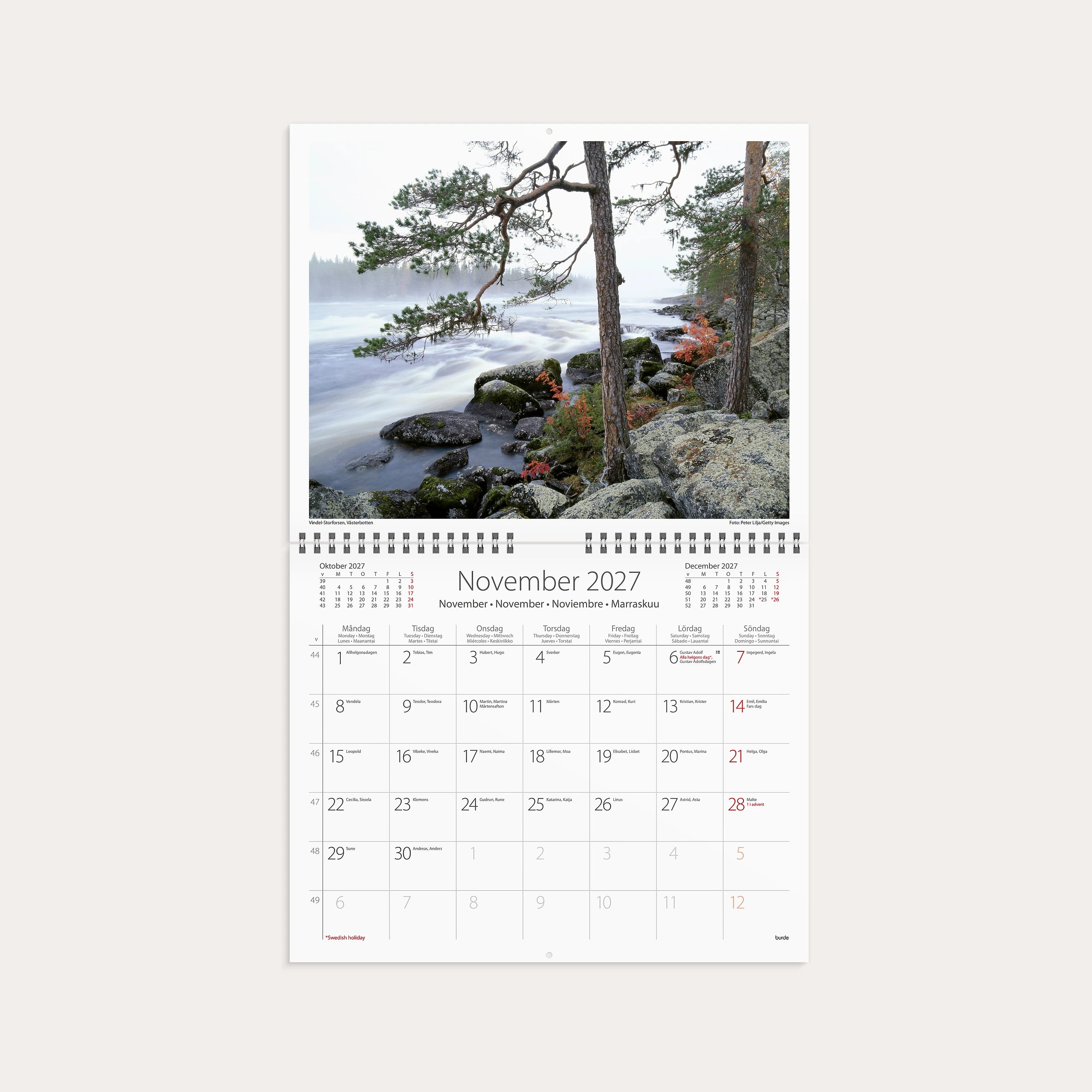 Väggkalender 2027 Vår vackra skog