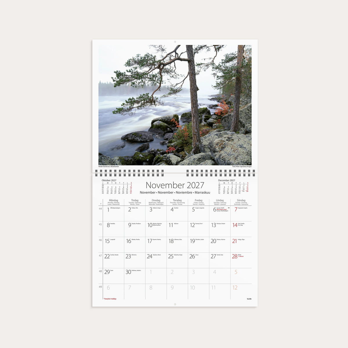 Väggkalender 2027 Vår vackra skog