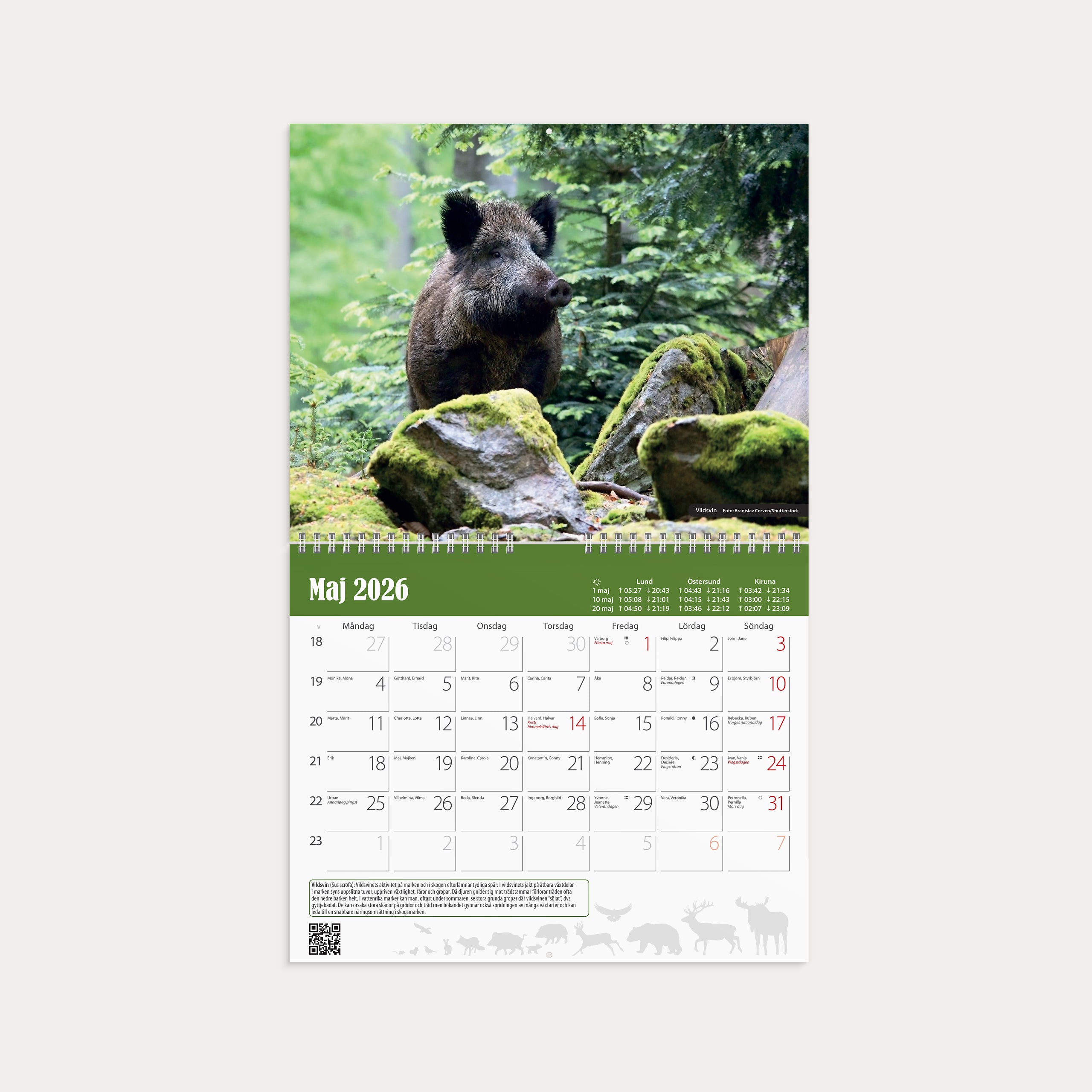 Väggkalender 2026 Jaktkalender