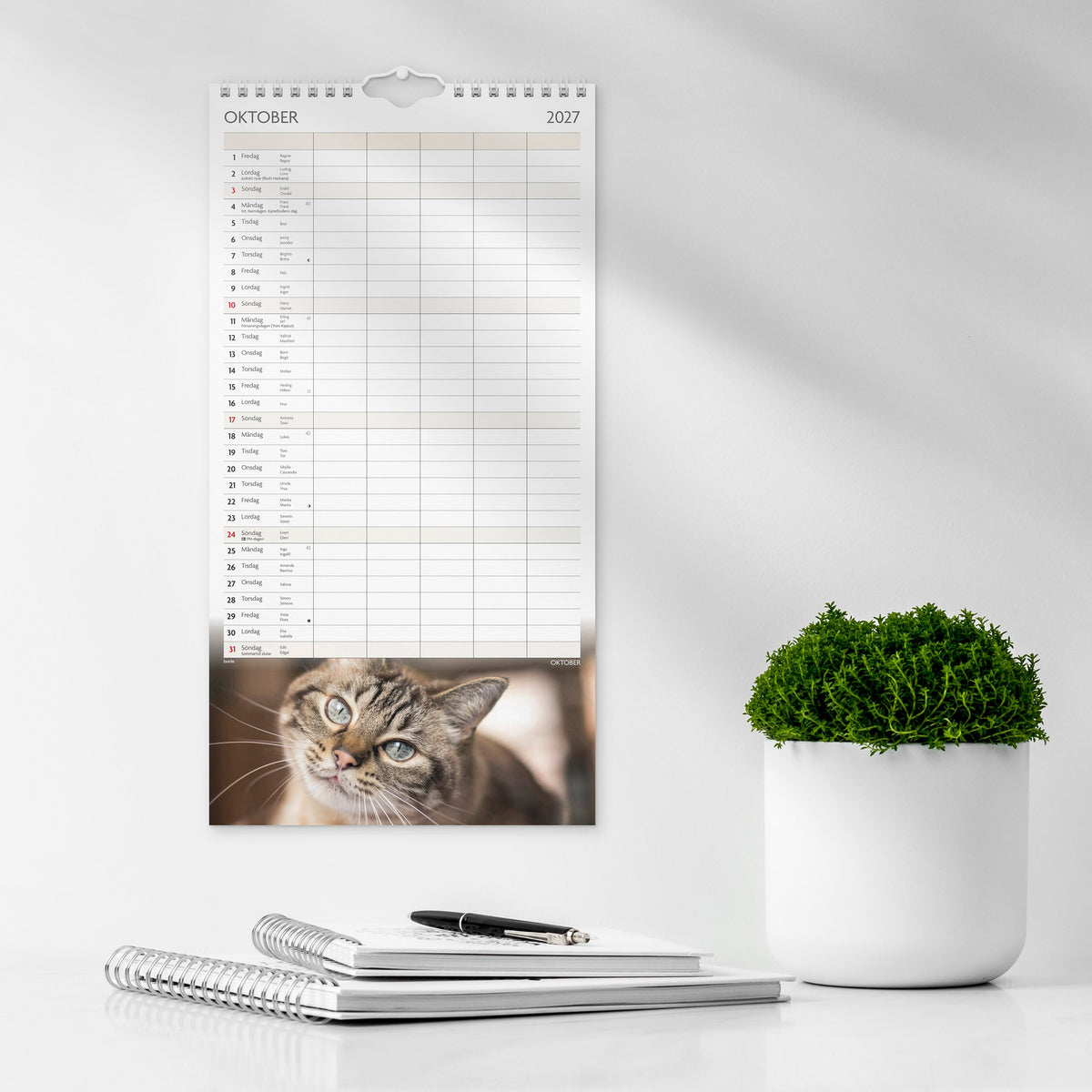 Familjekalender 2027 Katter