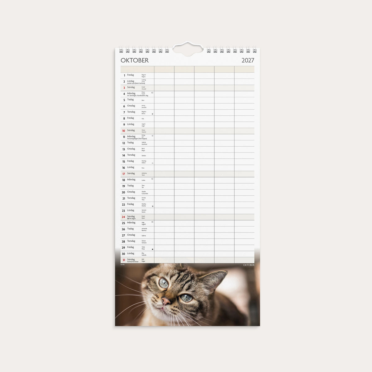 Familjekalender 2027 Katter