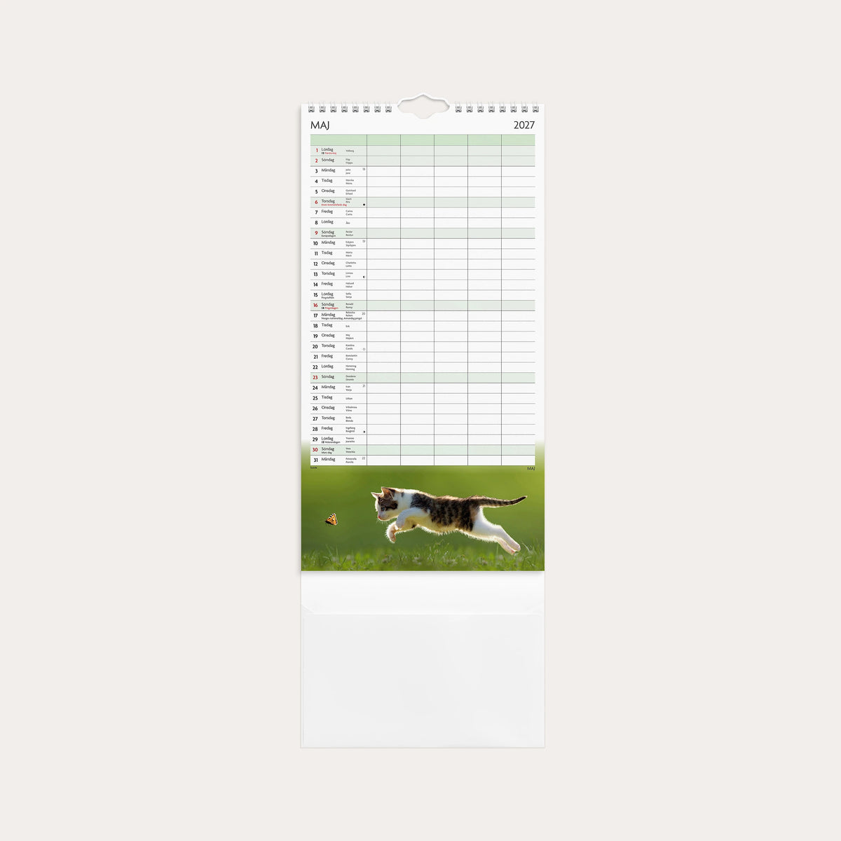 Familjekalender 2027 Katter