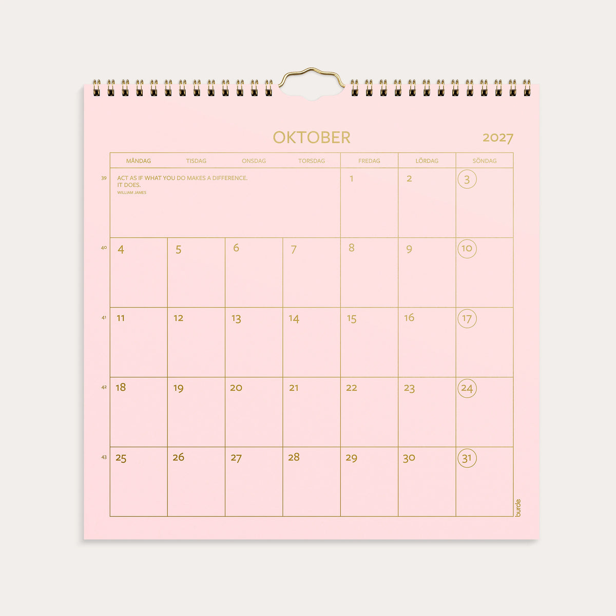 Väggkalender 2027 Color