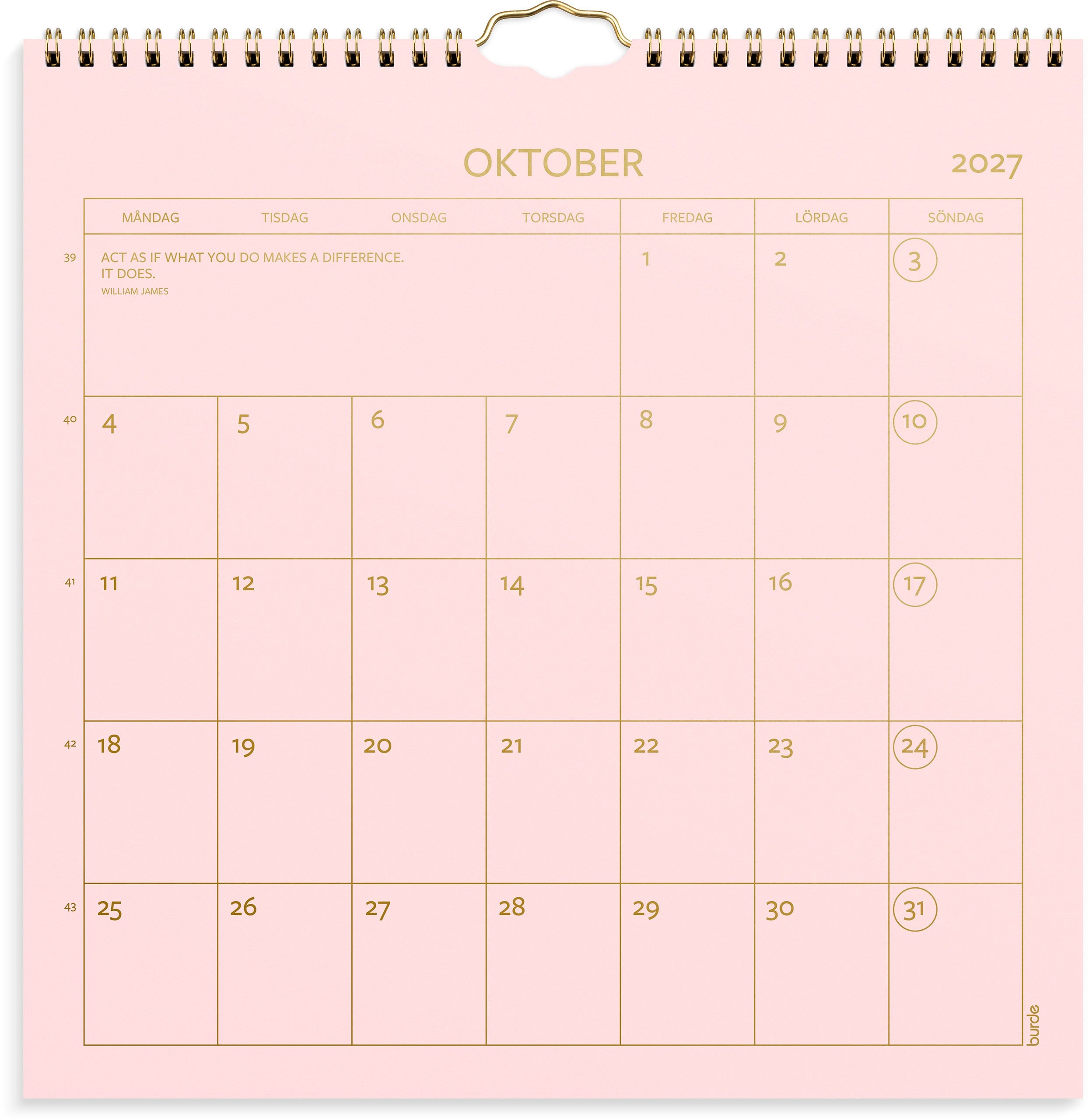 Väggkalender 2027 Color