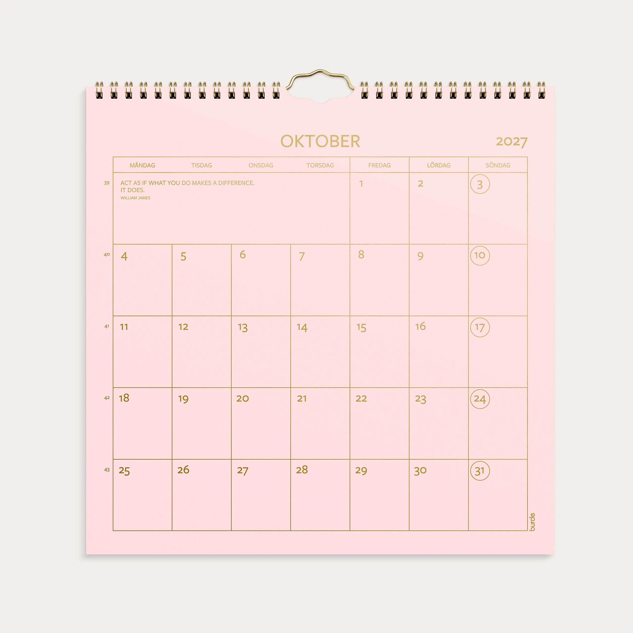 Väggkalender 2027 Color