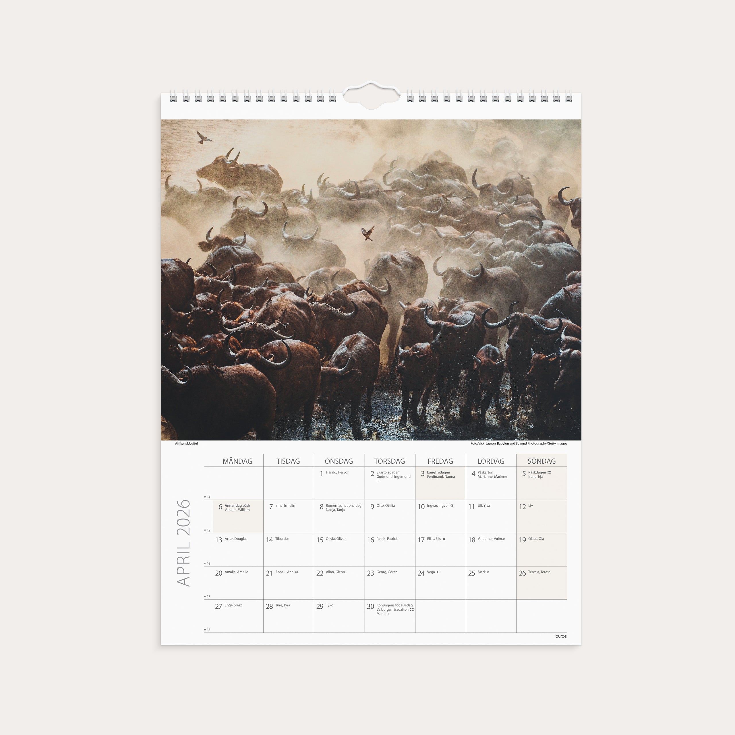 Väggkalender 2026 Savannen