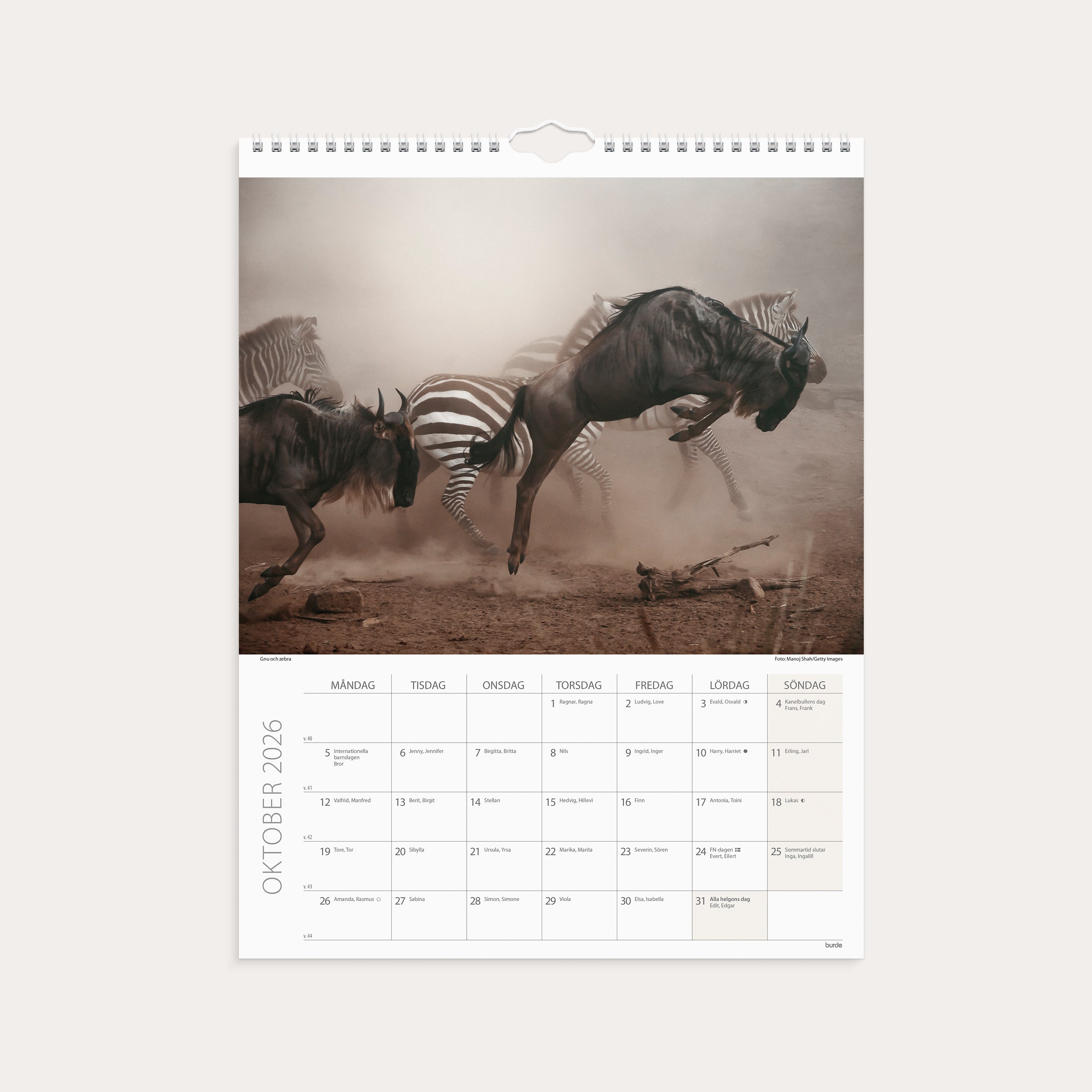 Väggkalender 2026 Savannen
