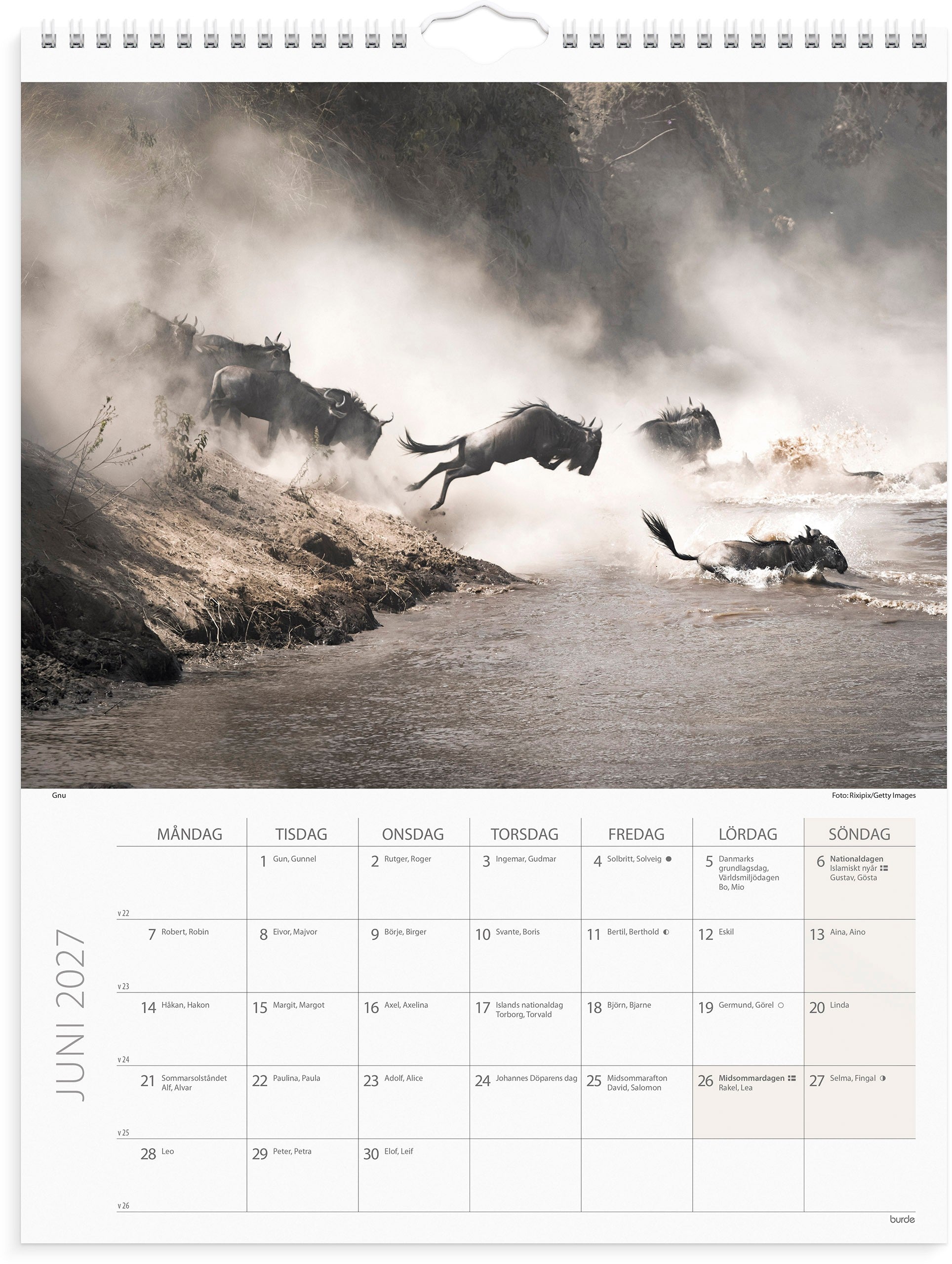 Väggkalender 2027 Savannen